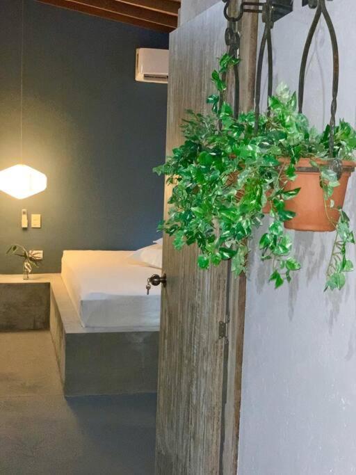 Lovely apartment in Poblado - Provenza
