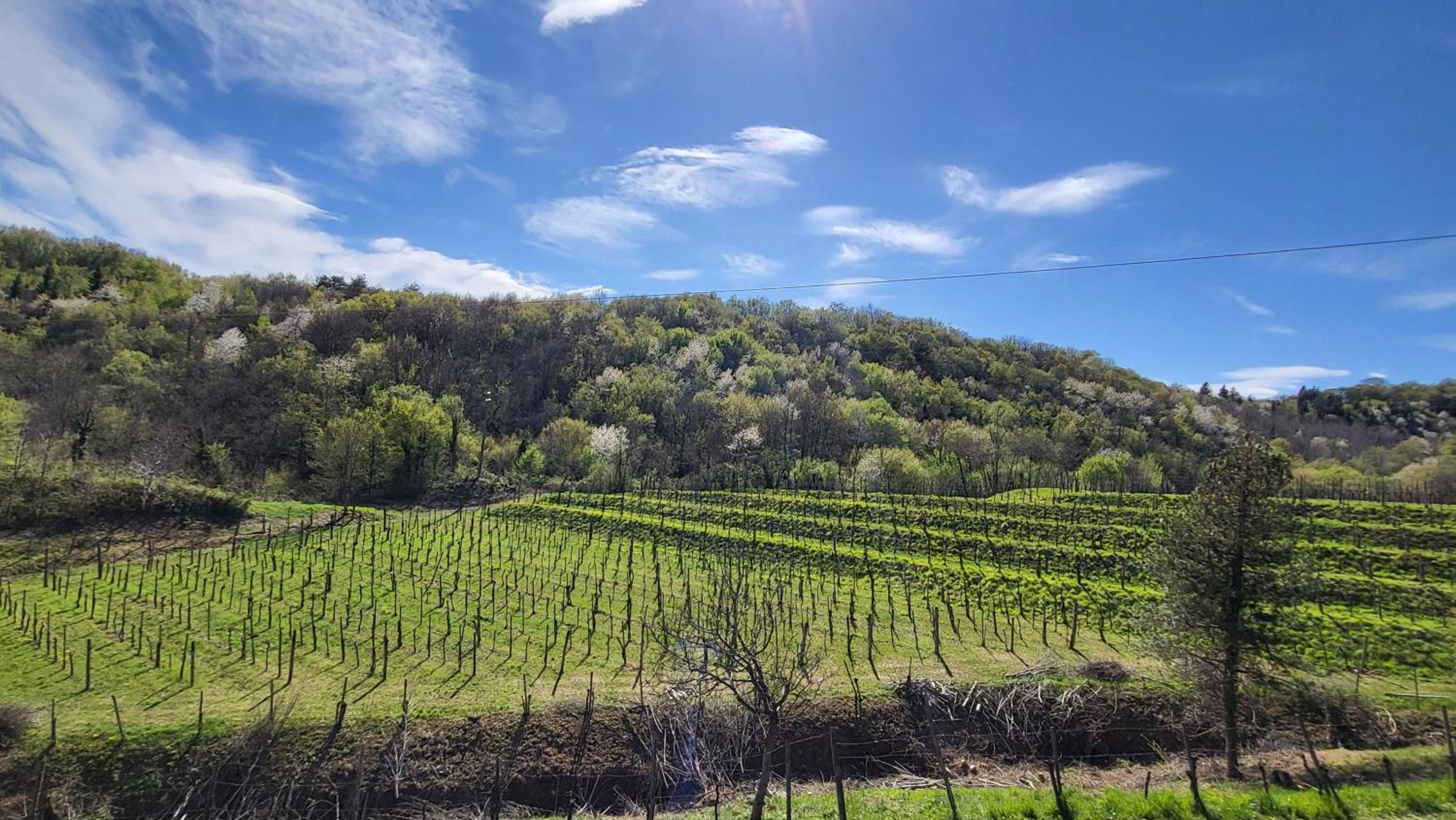 Il tempio nel bosco The Rustic Rooms & Wine view 5