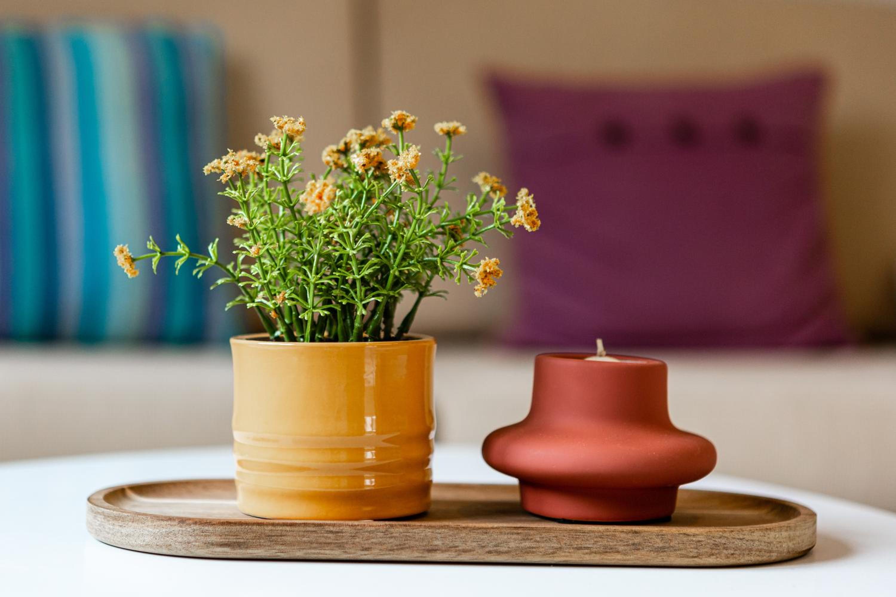 Aroma Accommodations