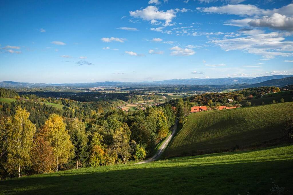 Chalet-Südsteiermark - traumhafte Aussicht, Infinity Pool, Privatsphäre, Klima und de-luxe Ausstattung