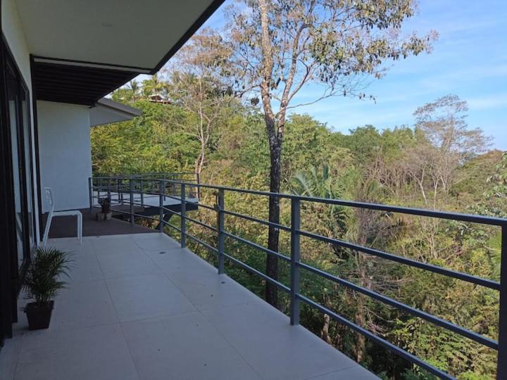 Laurel Jungle & Ocean