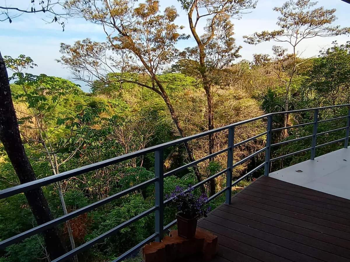 Laurel Jungle & Ocean