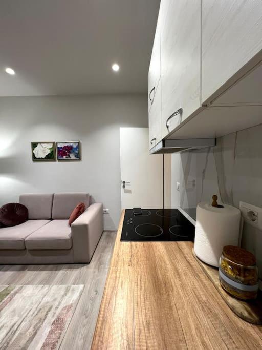 Destiny - Cozy Apartment At Myslym Shyri