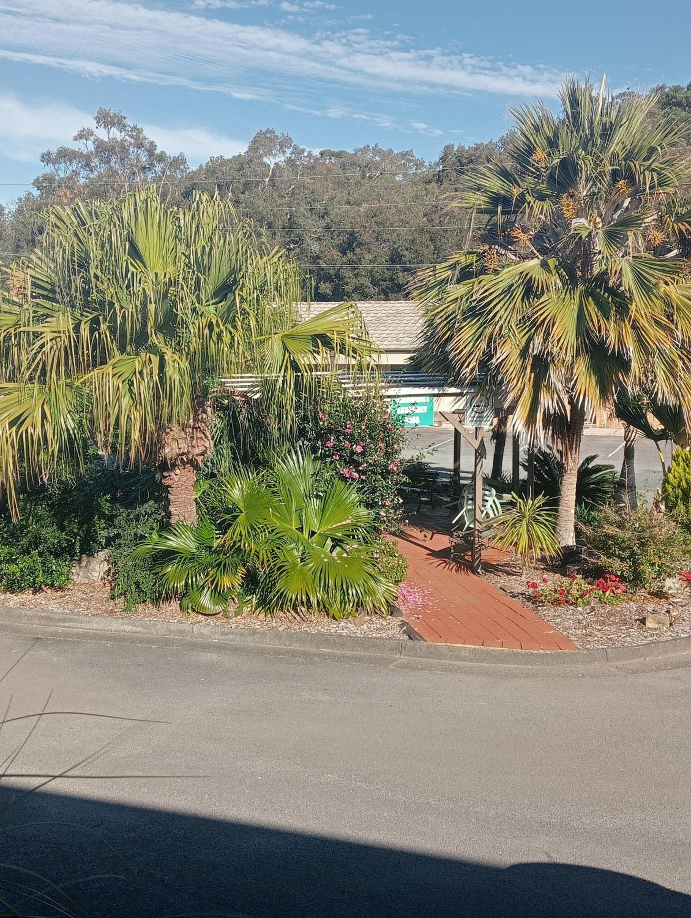 Forster Palms Motel