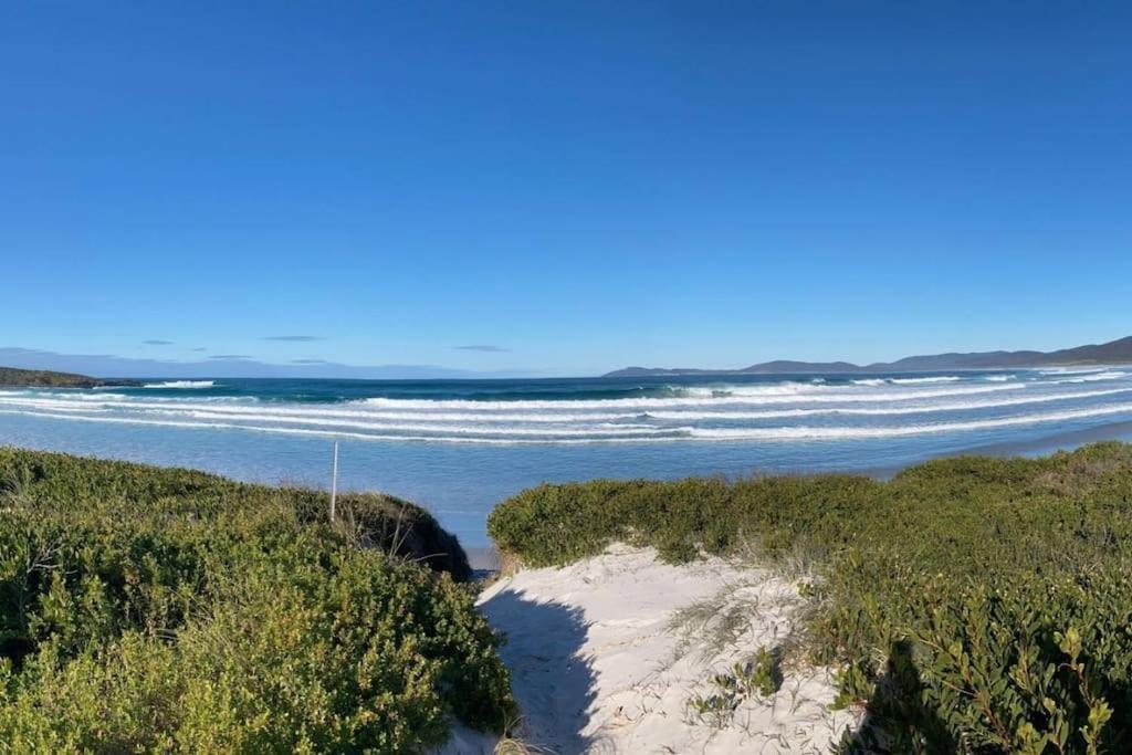 Seymour Waves ~ Absolute Serenity