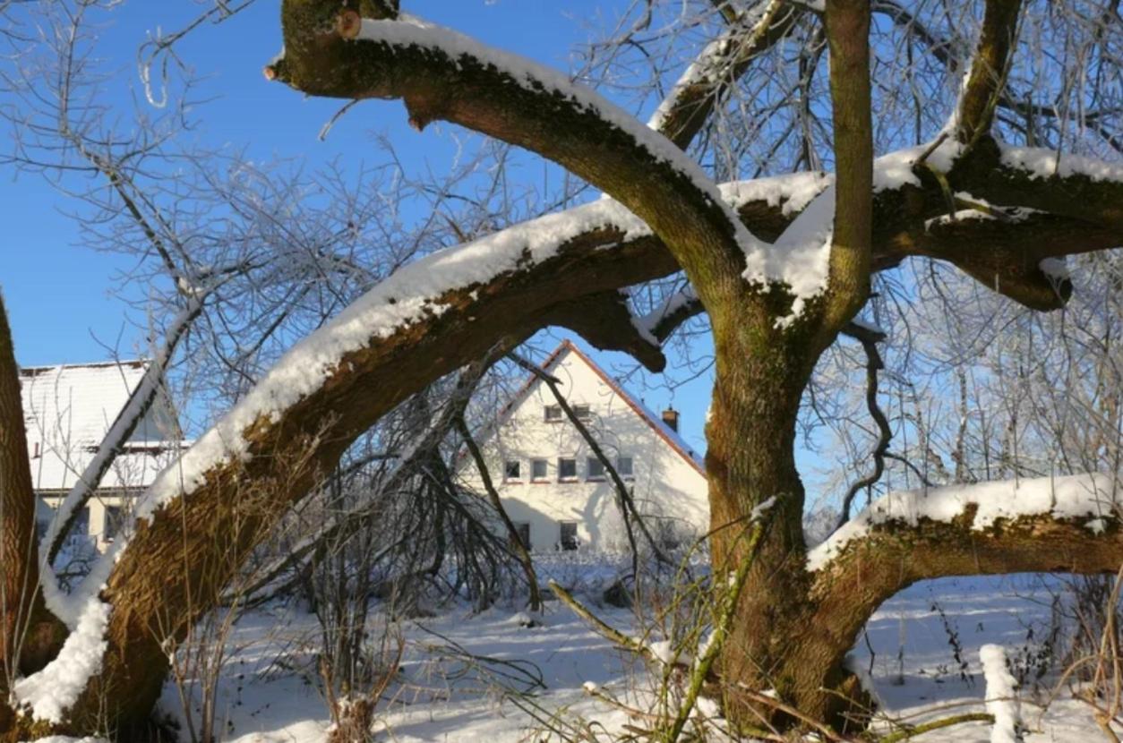 KULTURGUTLEBEN Boutiquehotel Seminarhaus