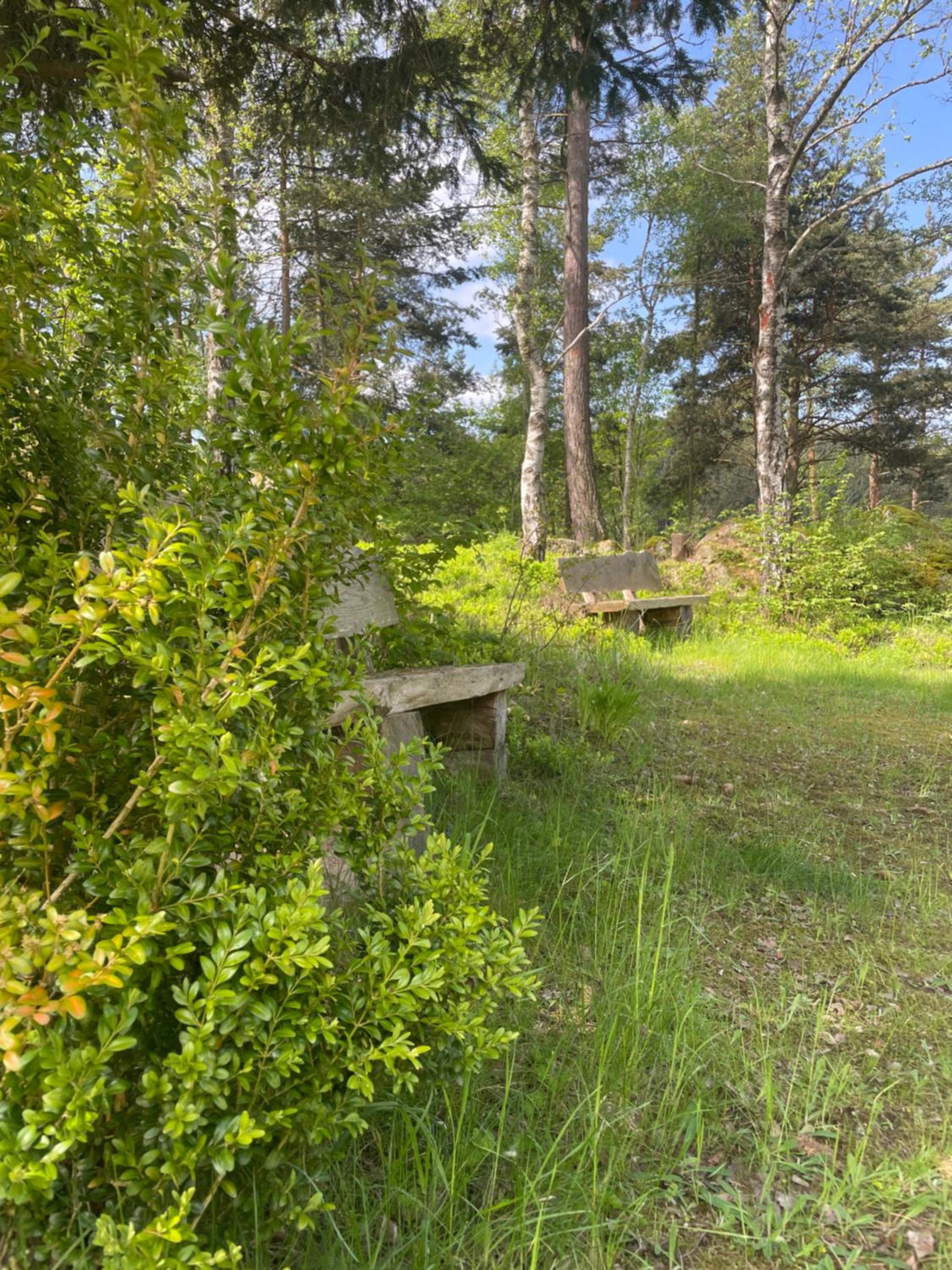 Haus am Berg - Waldviertel