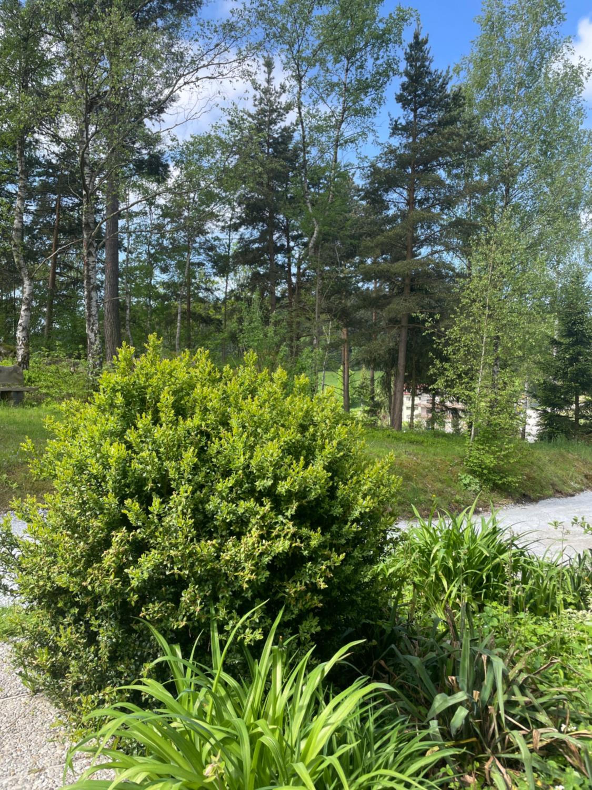 Haus am Berg - Waldviertel