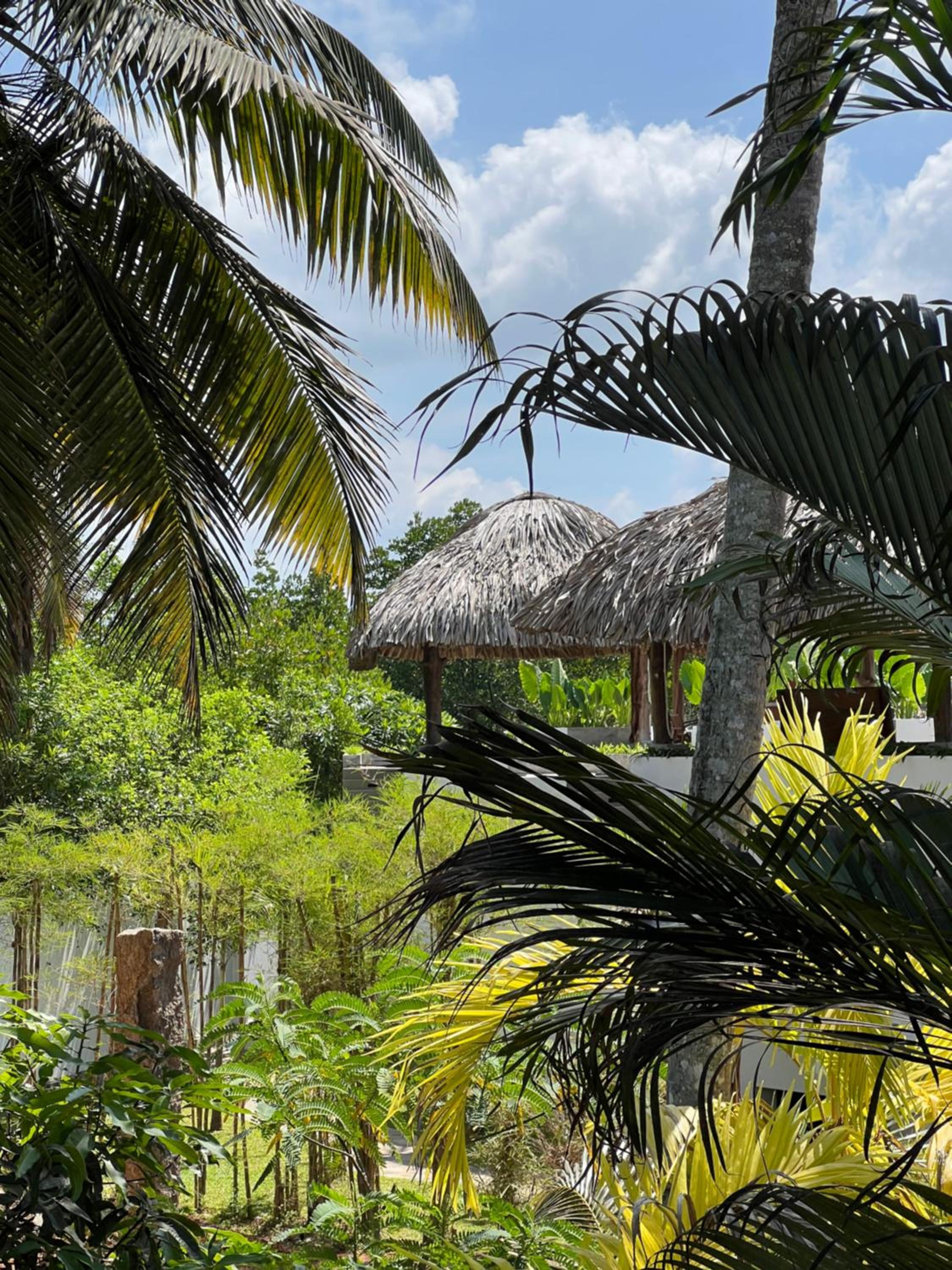 Shiva Sunrise Resort