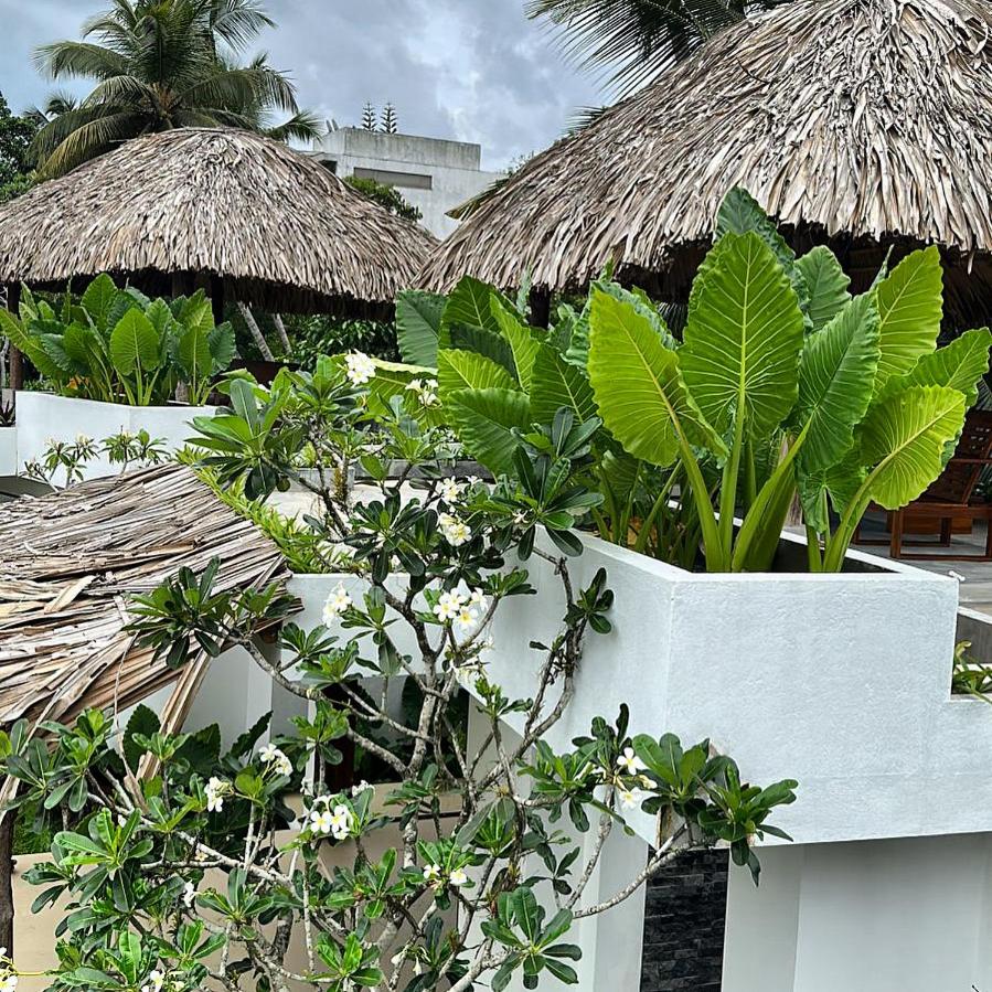 Shiva Sunrise Resort
