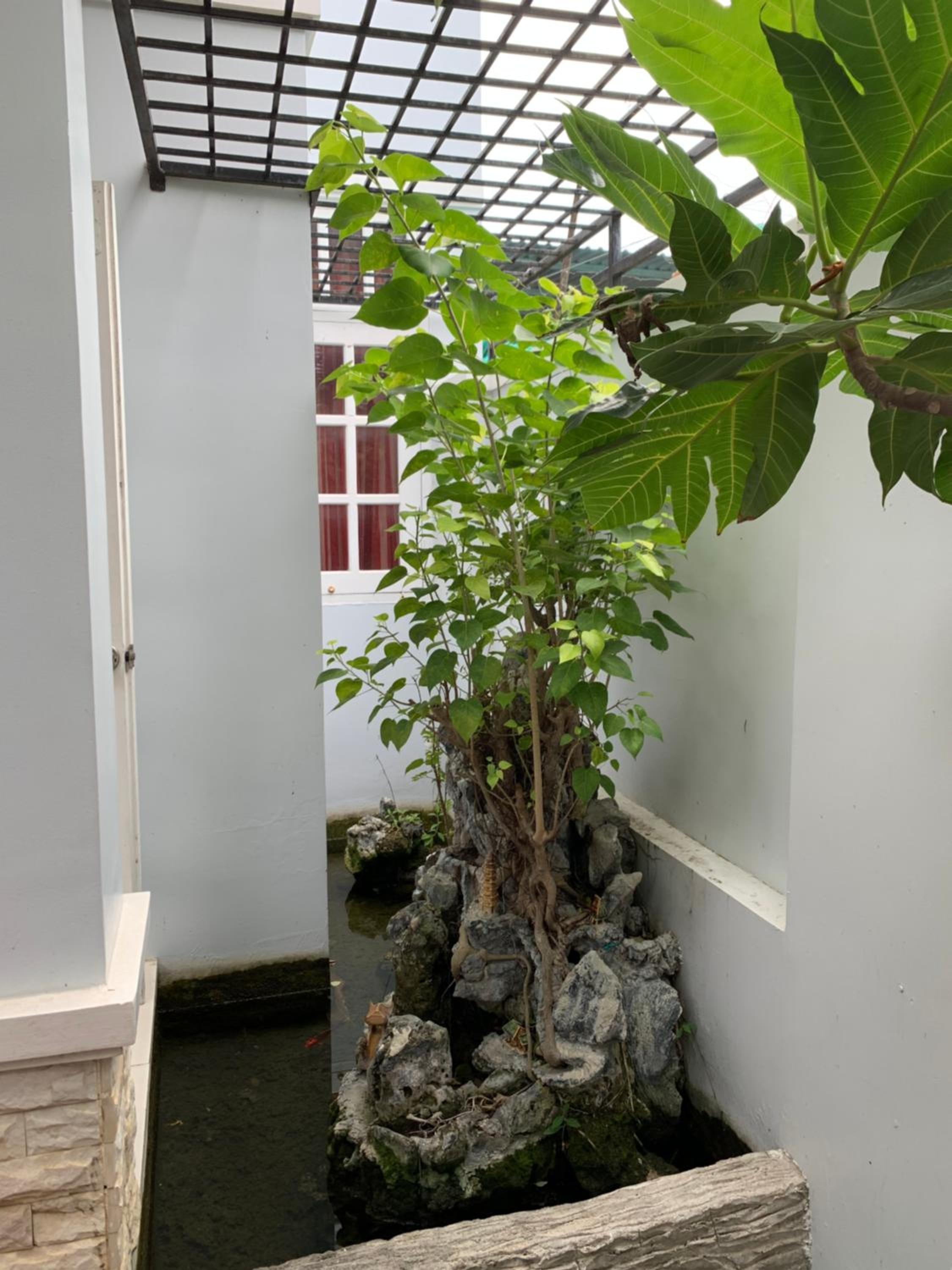 Photo 23
