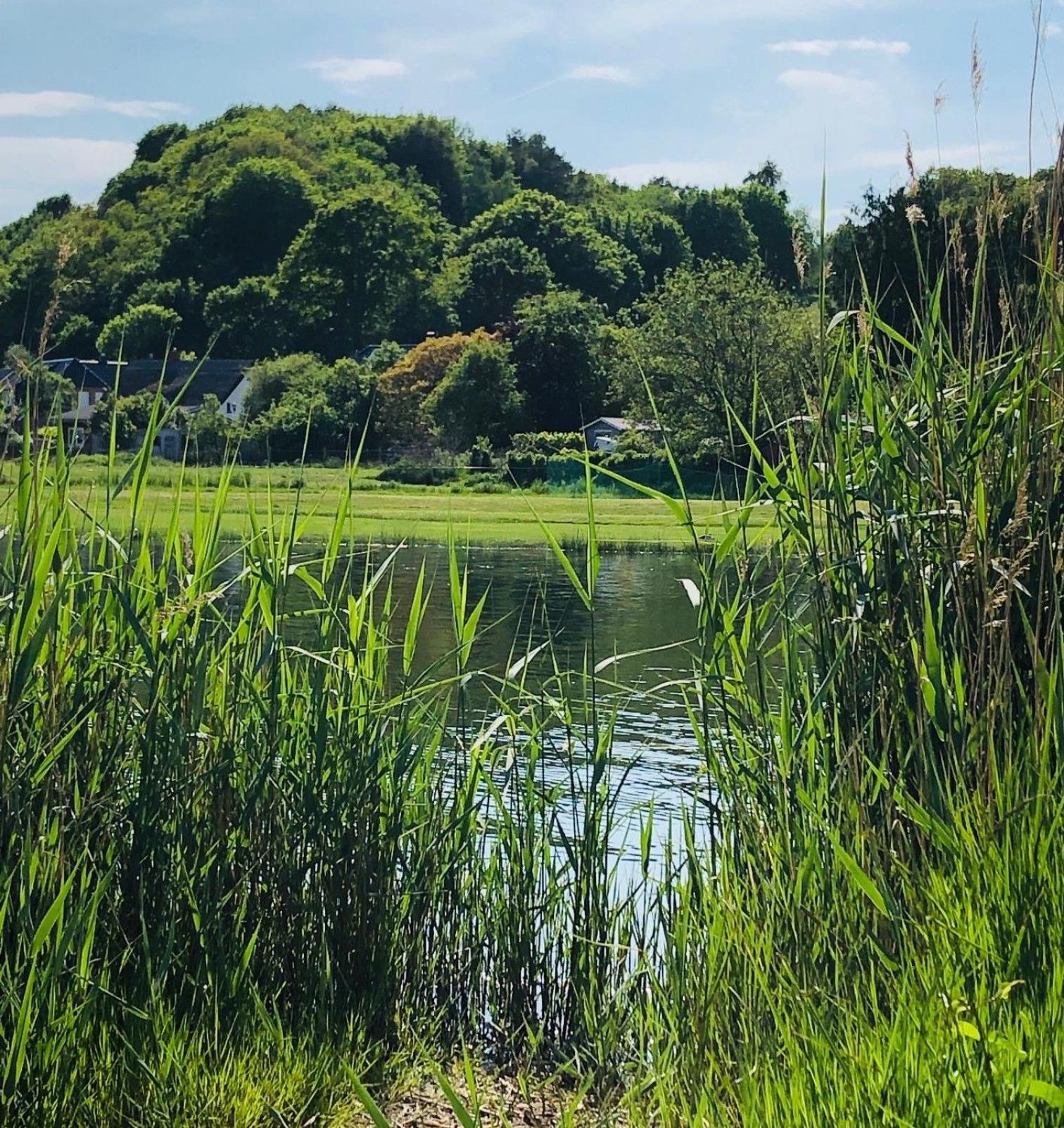 Villa Tee Time