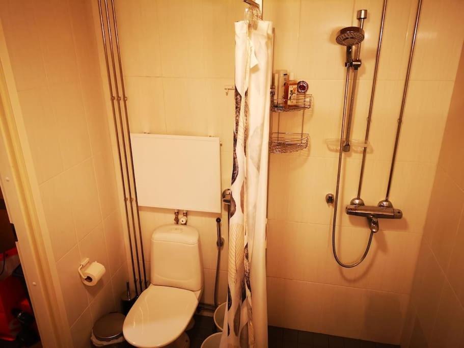 Mukava asunto saunalla ja isolla parvekkeella!