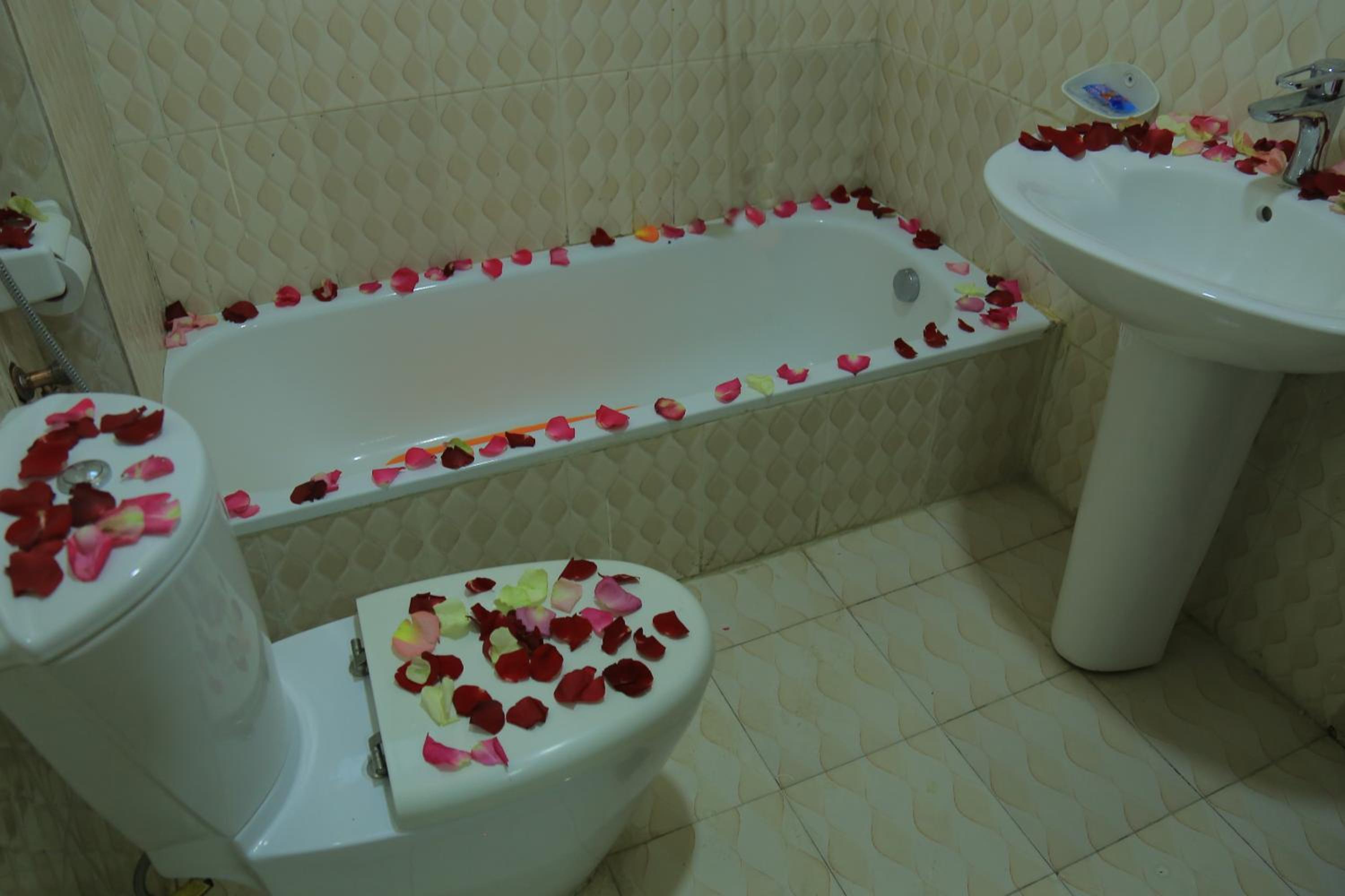 Avi Guest House