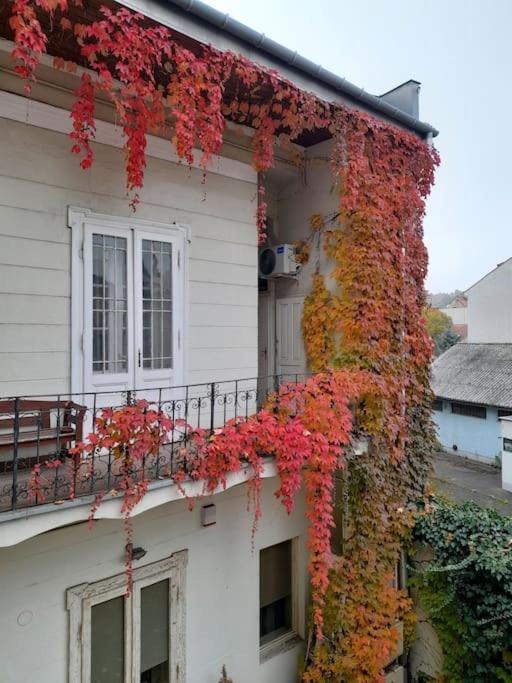 Reload Apartment
