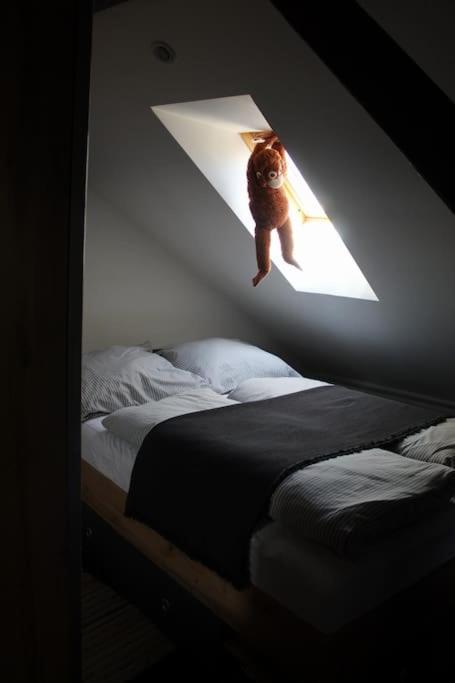 Reload Apartment