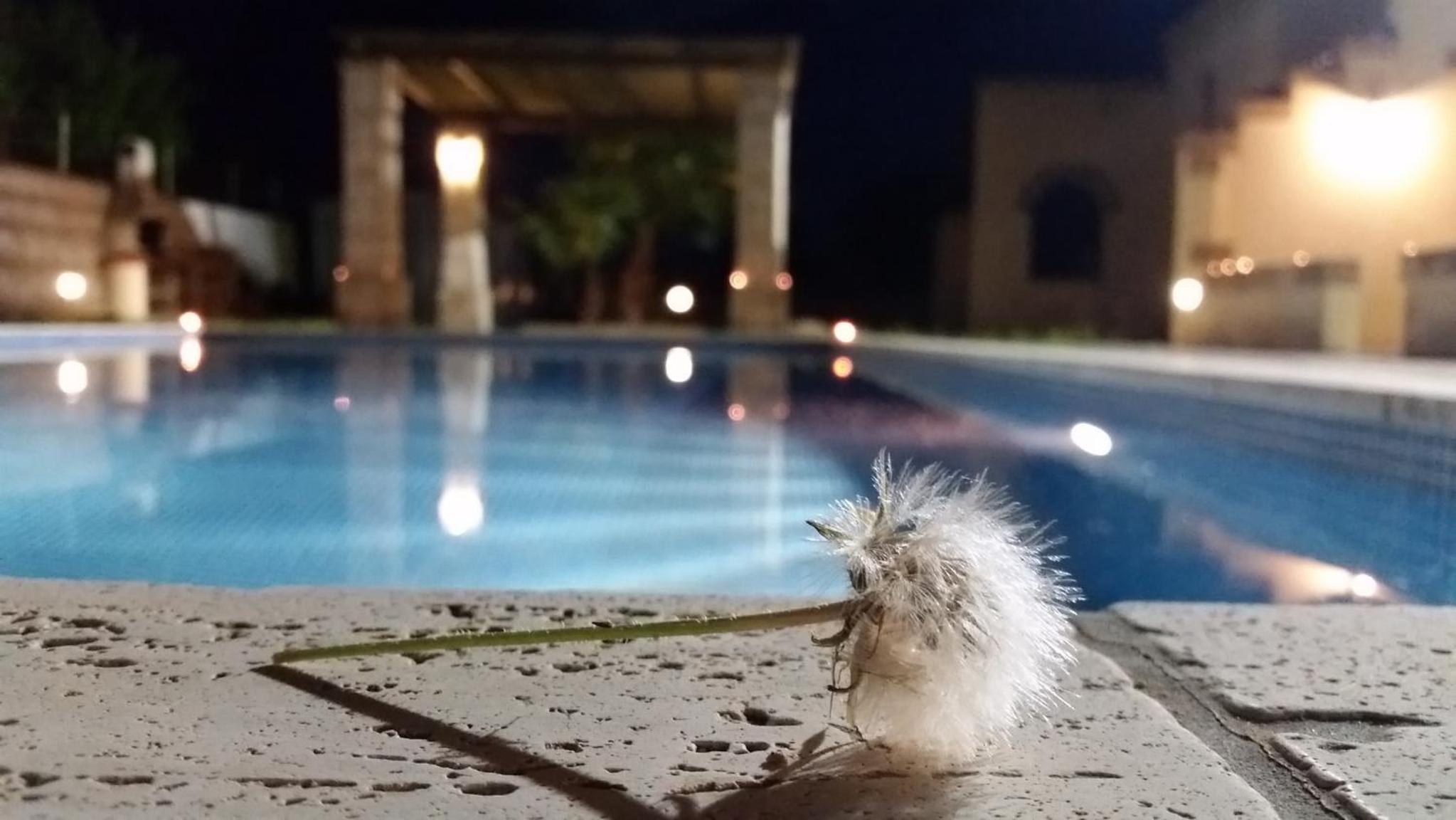 La palma vacanze