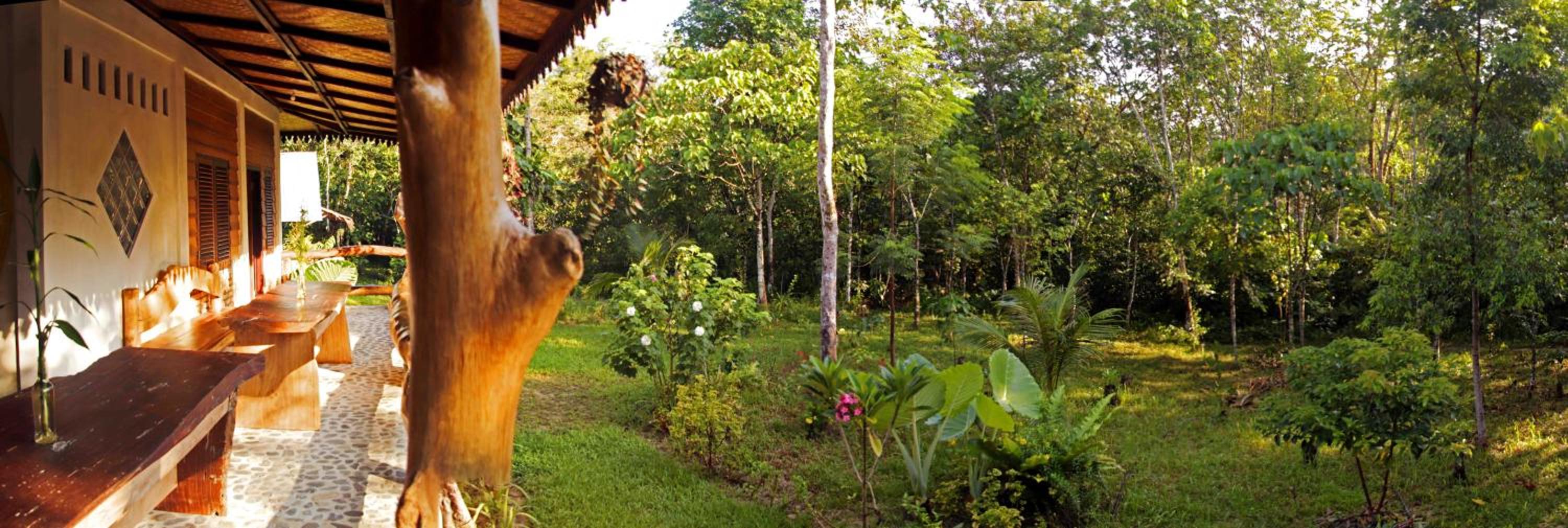 Hutan Subur Guest House and Volunteering view 4