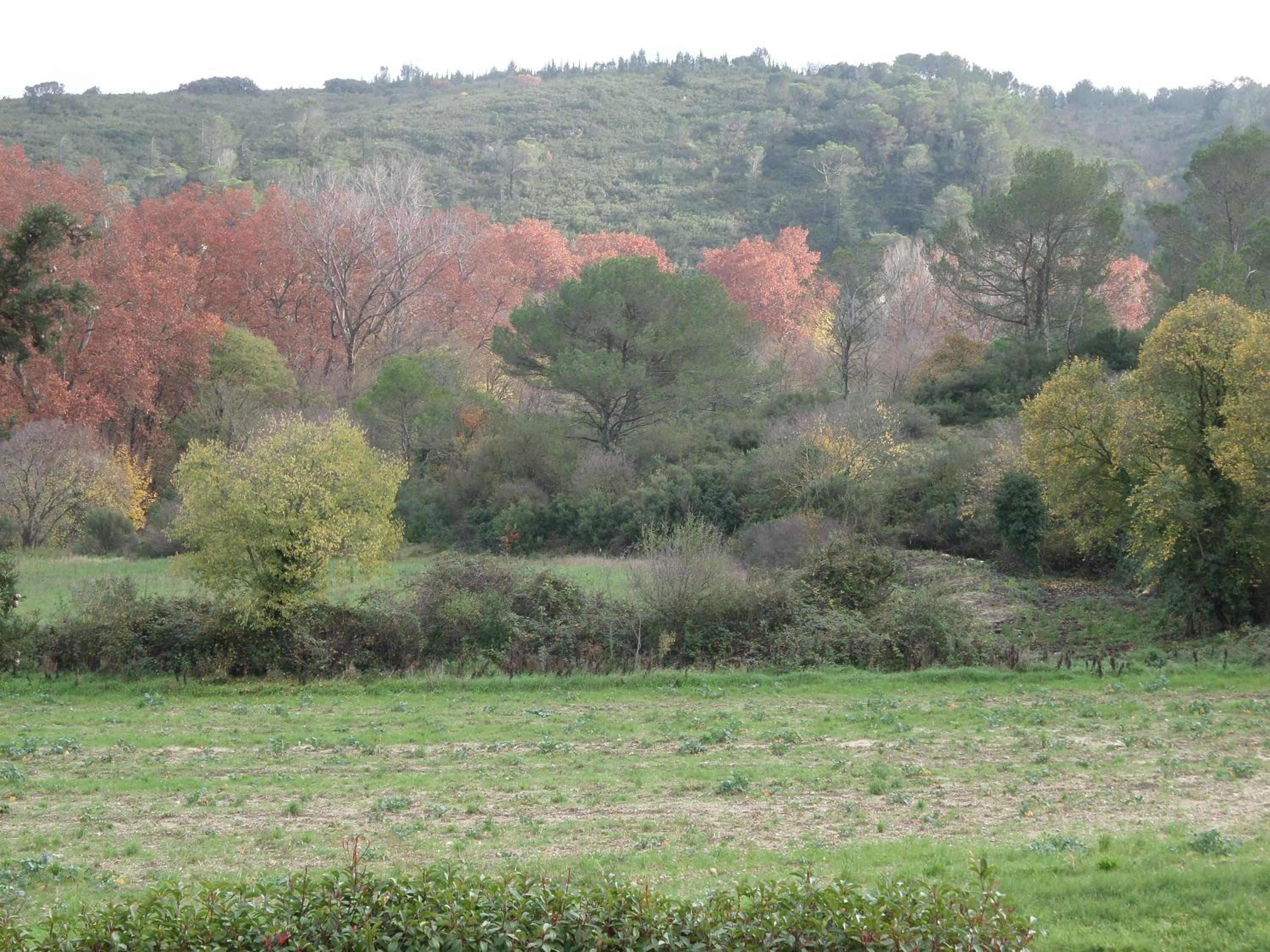 Photo 33