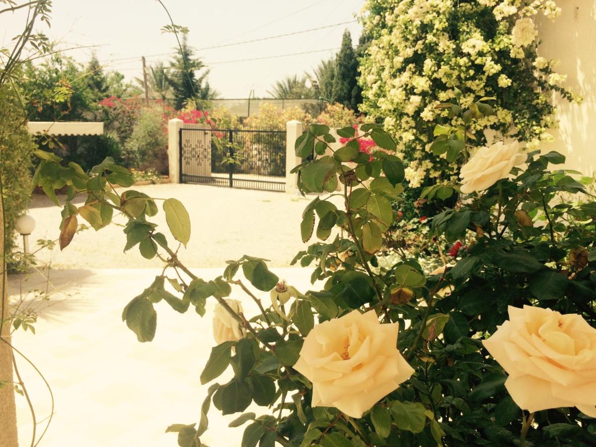 Photo 20