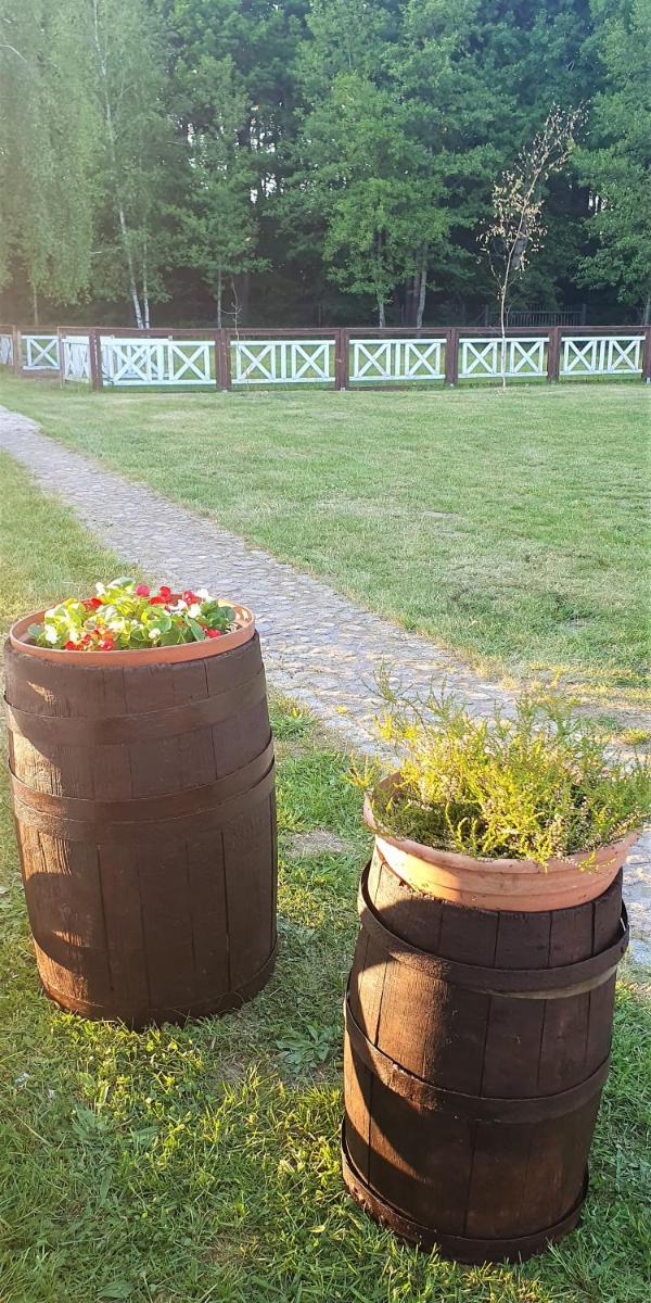 Photo 38