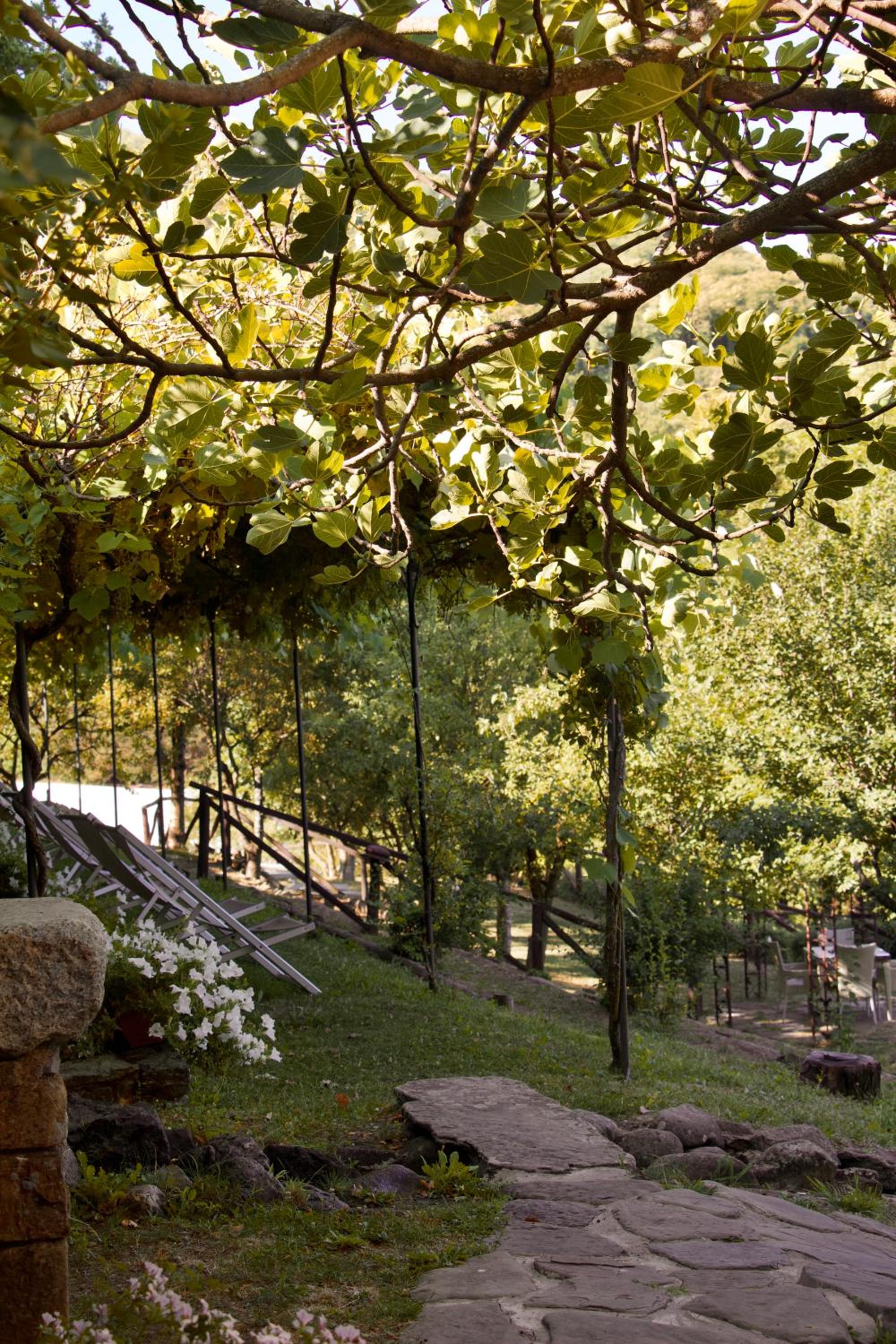 Borgo Casale