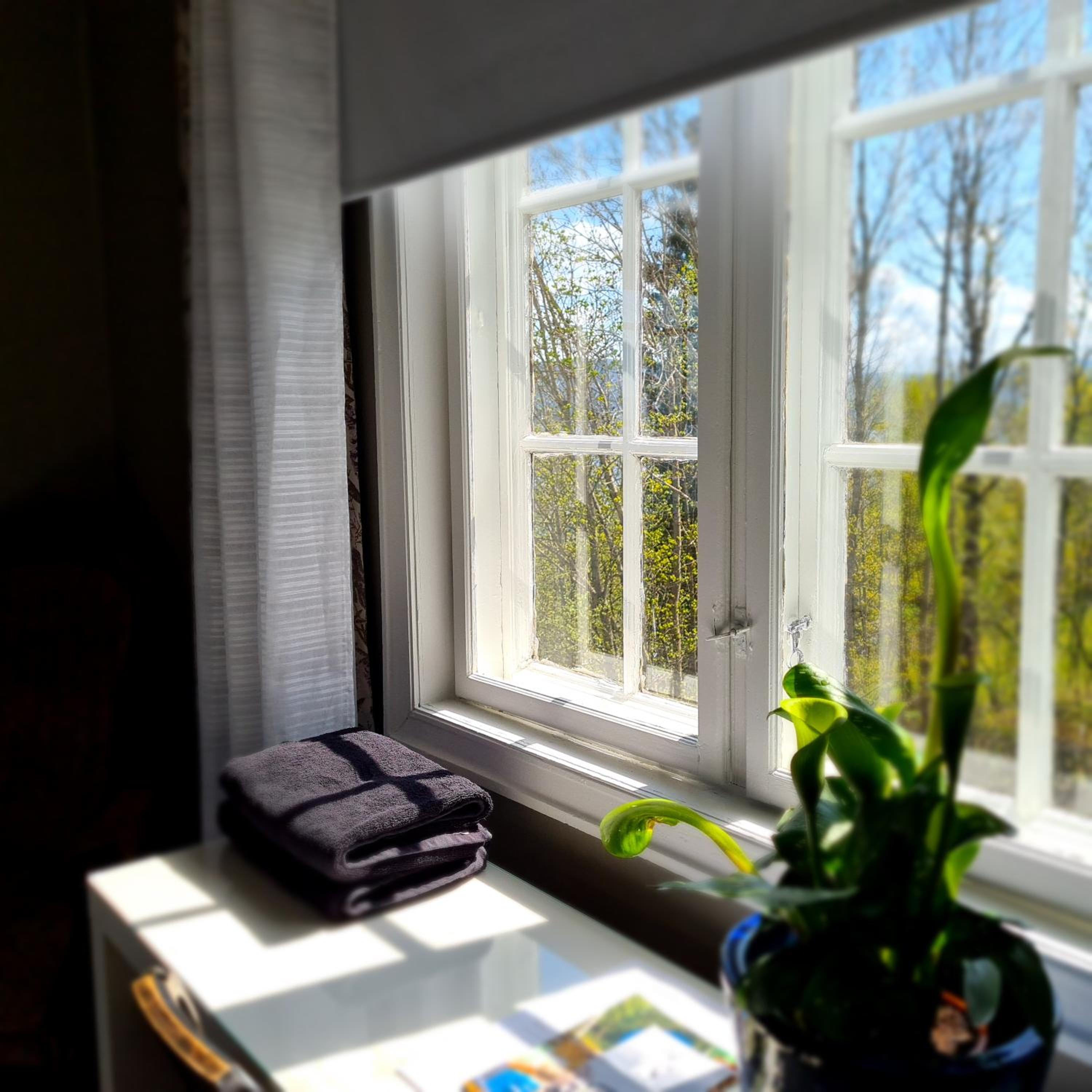 VILLA HASSELBAKKEN view 3