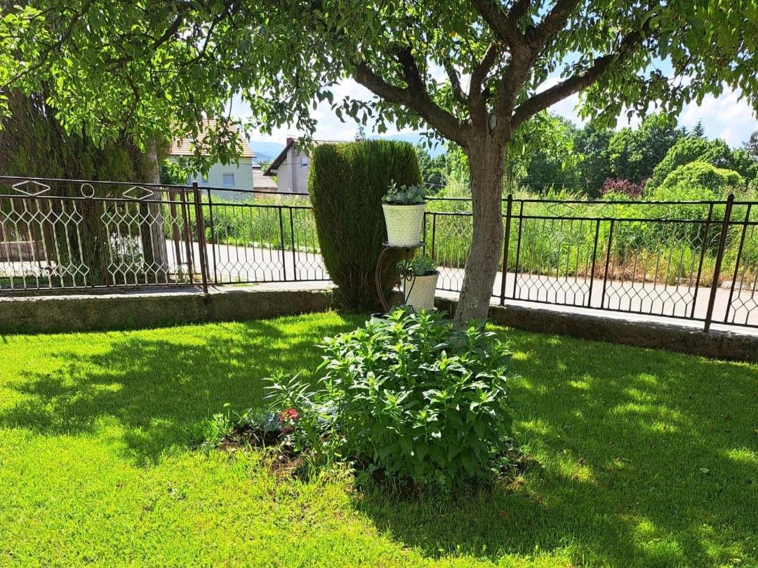 Apartman Ivo