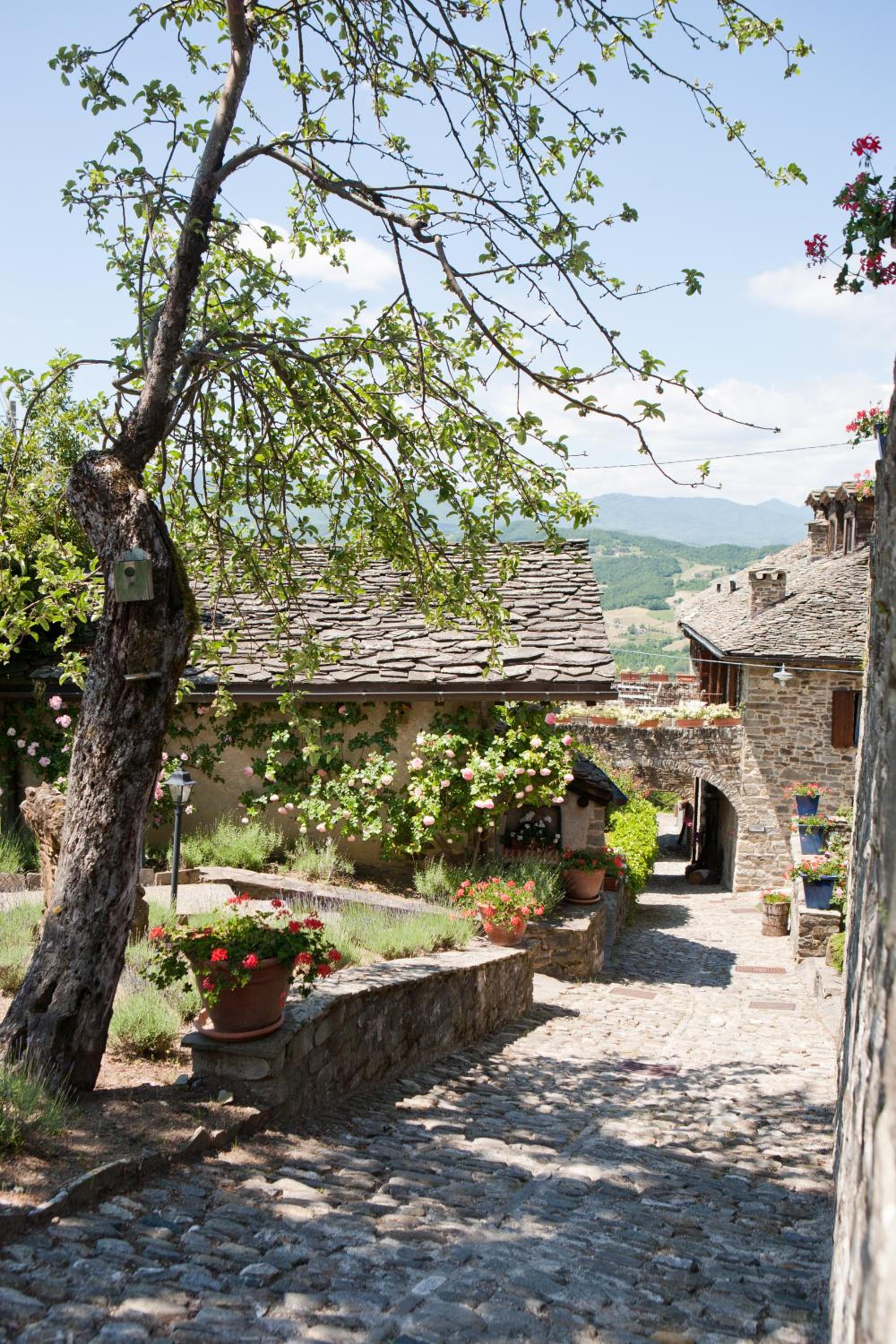 Borgo Casale