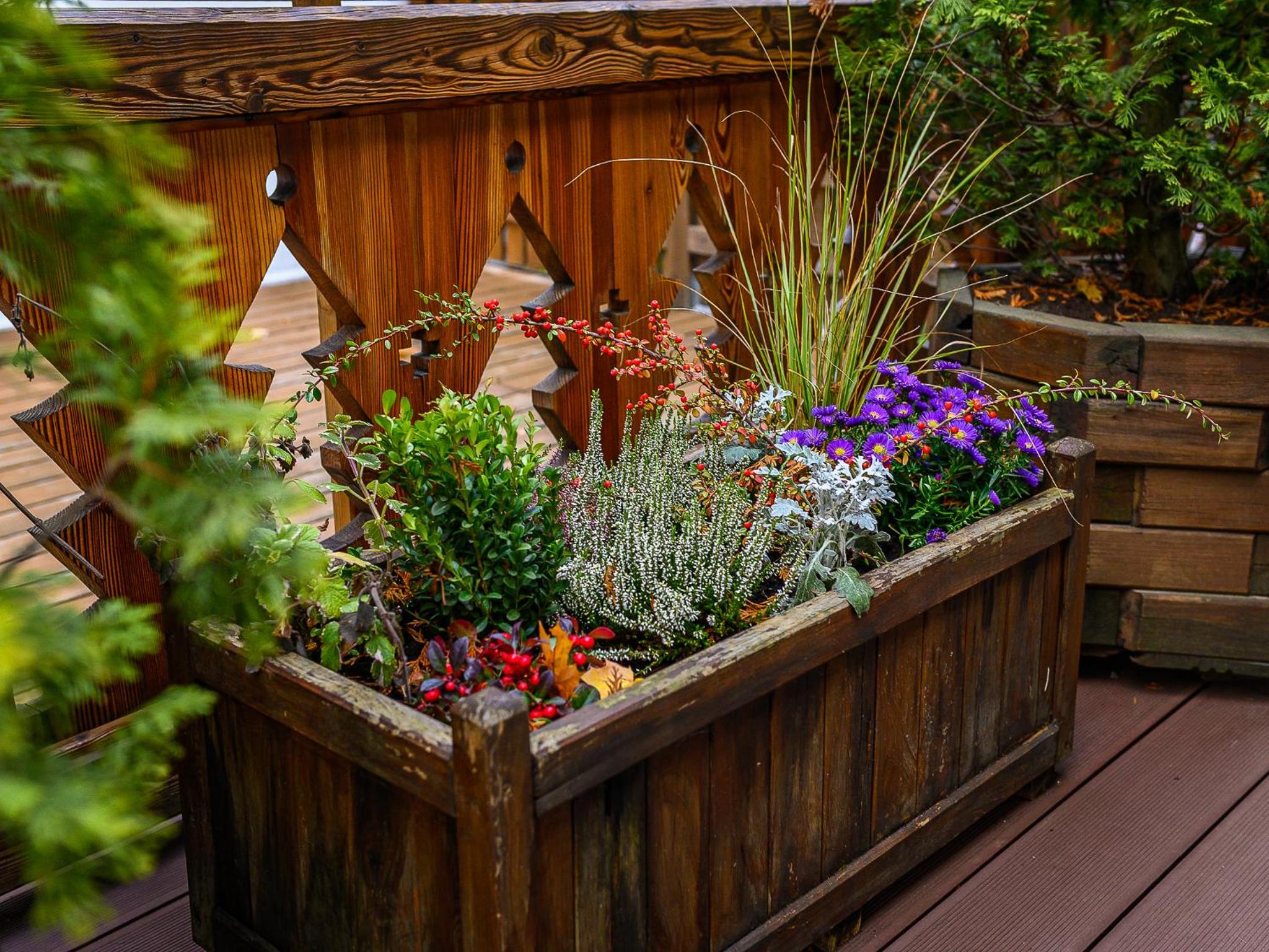 outdoor BBQ area