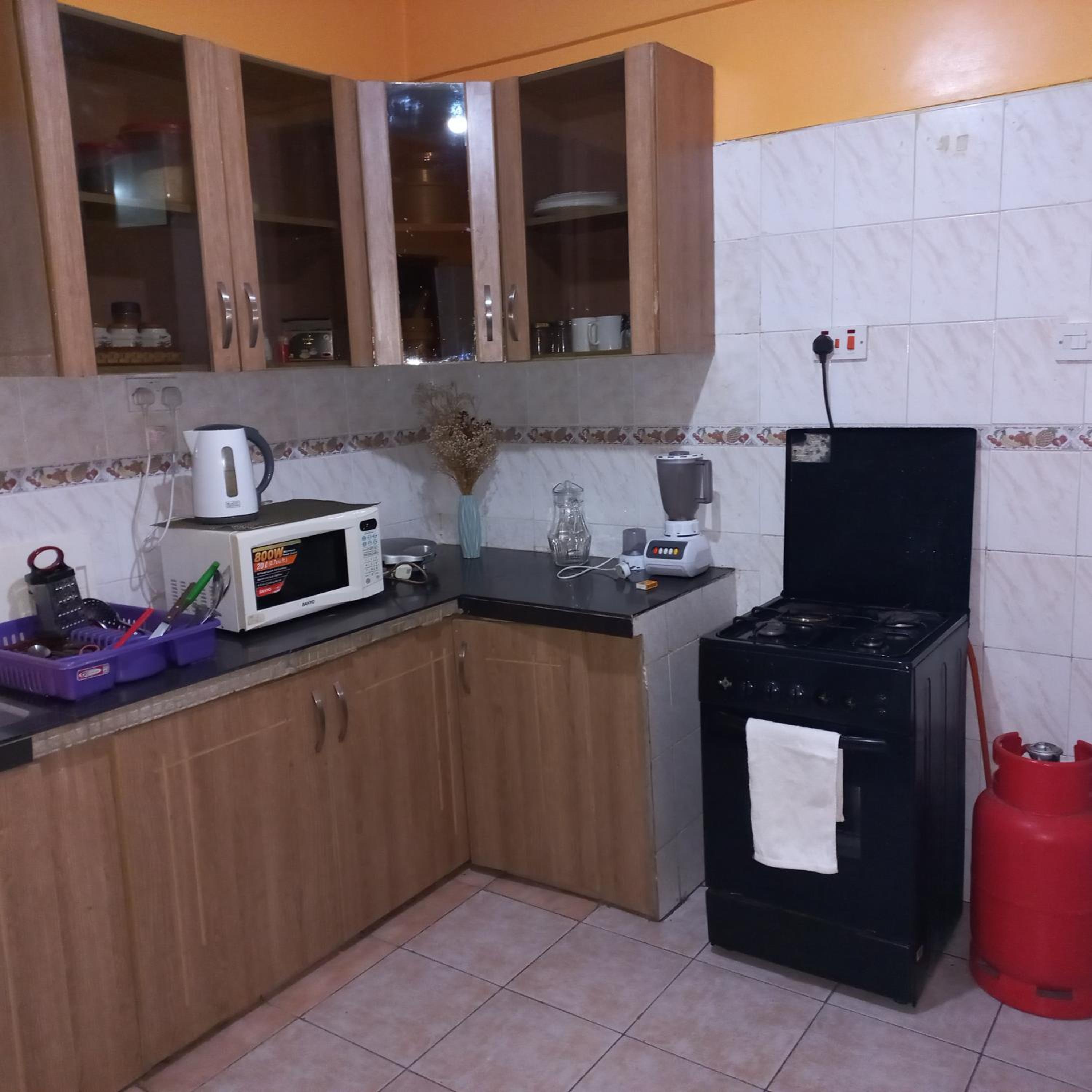 Elenox 2br Nakuru Apartment view 5