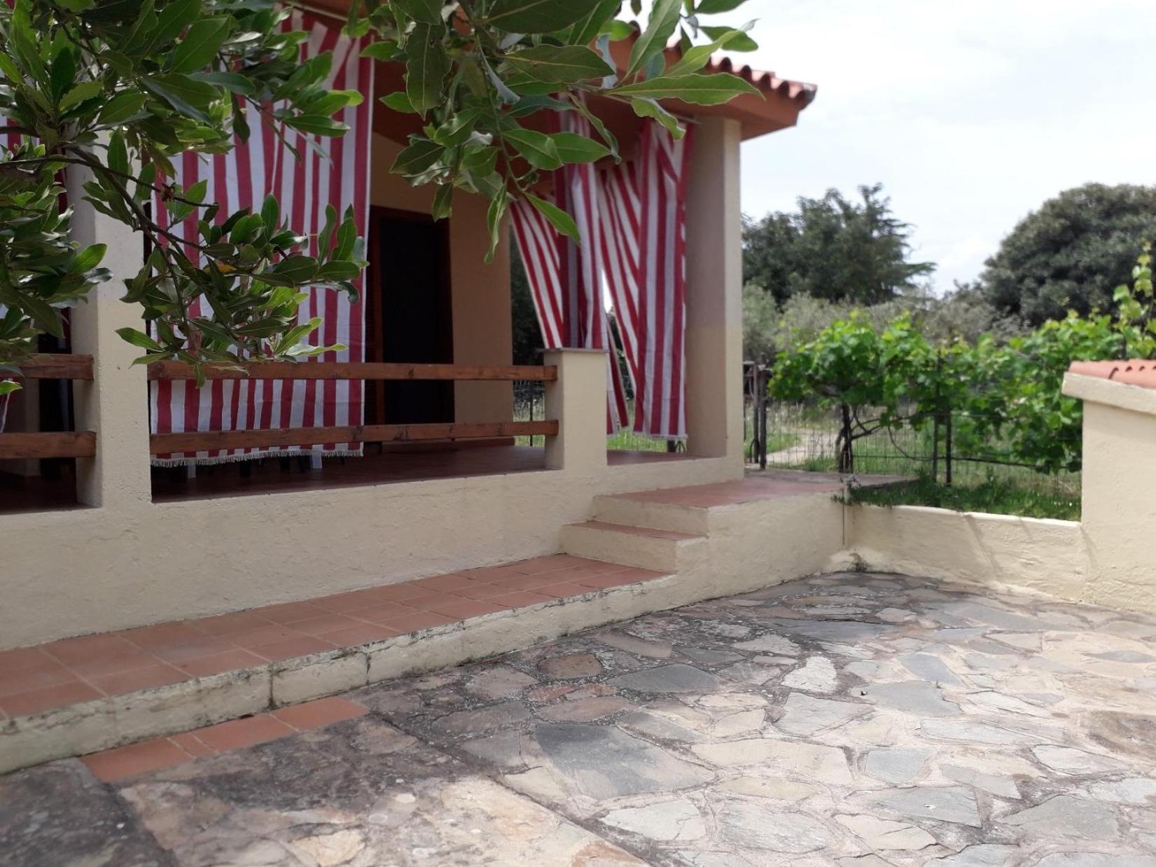 CASA Stella view 2