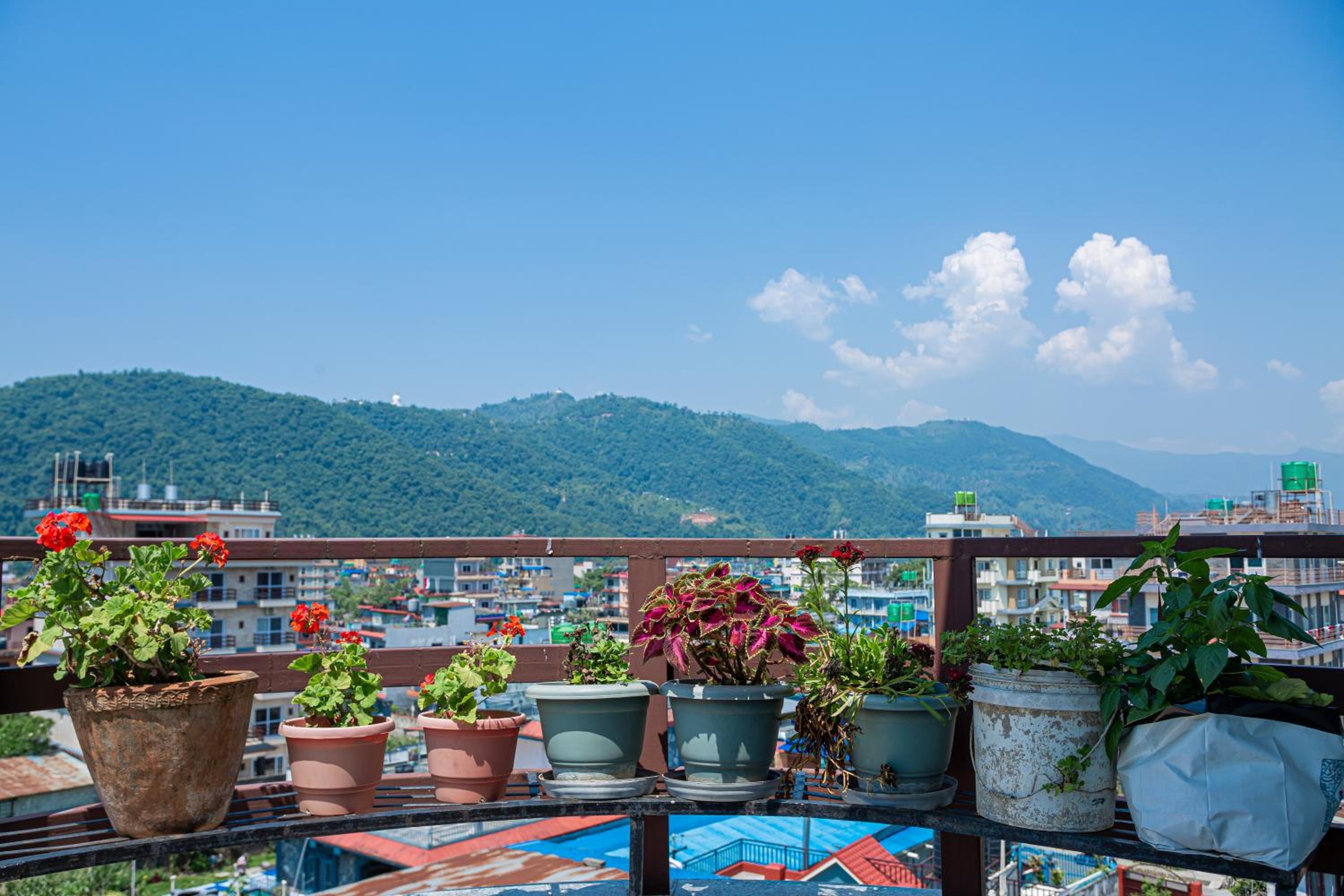 Subedi Apartment