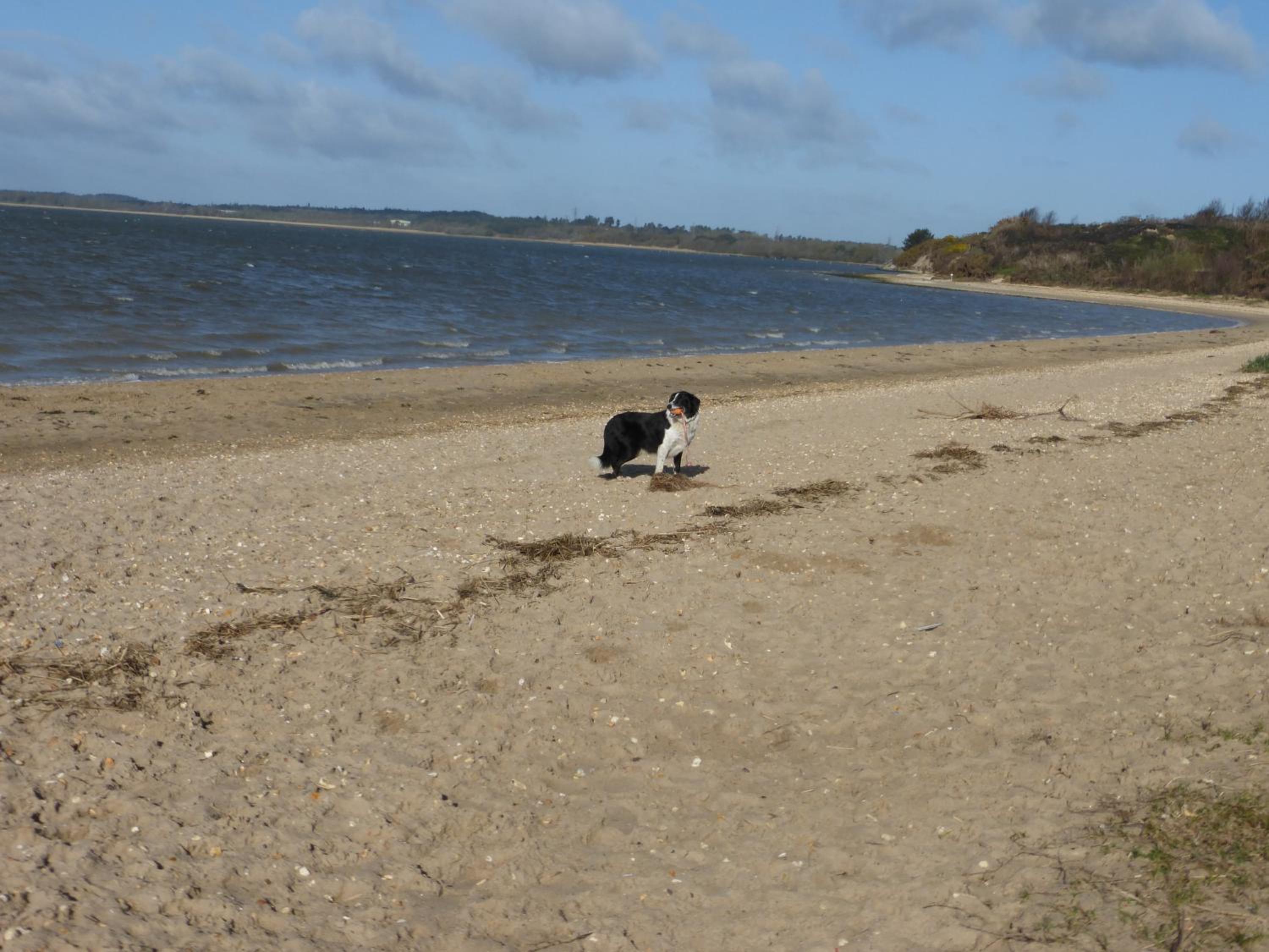 Rockley Park Private Holiday Homes, photo 167