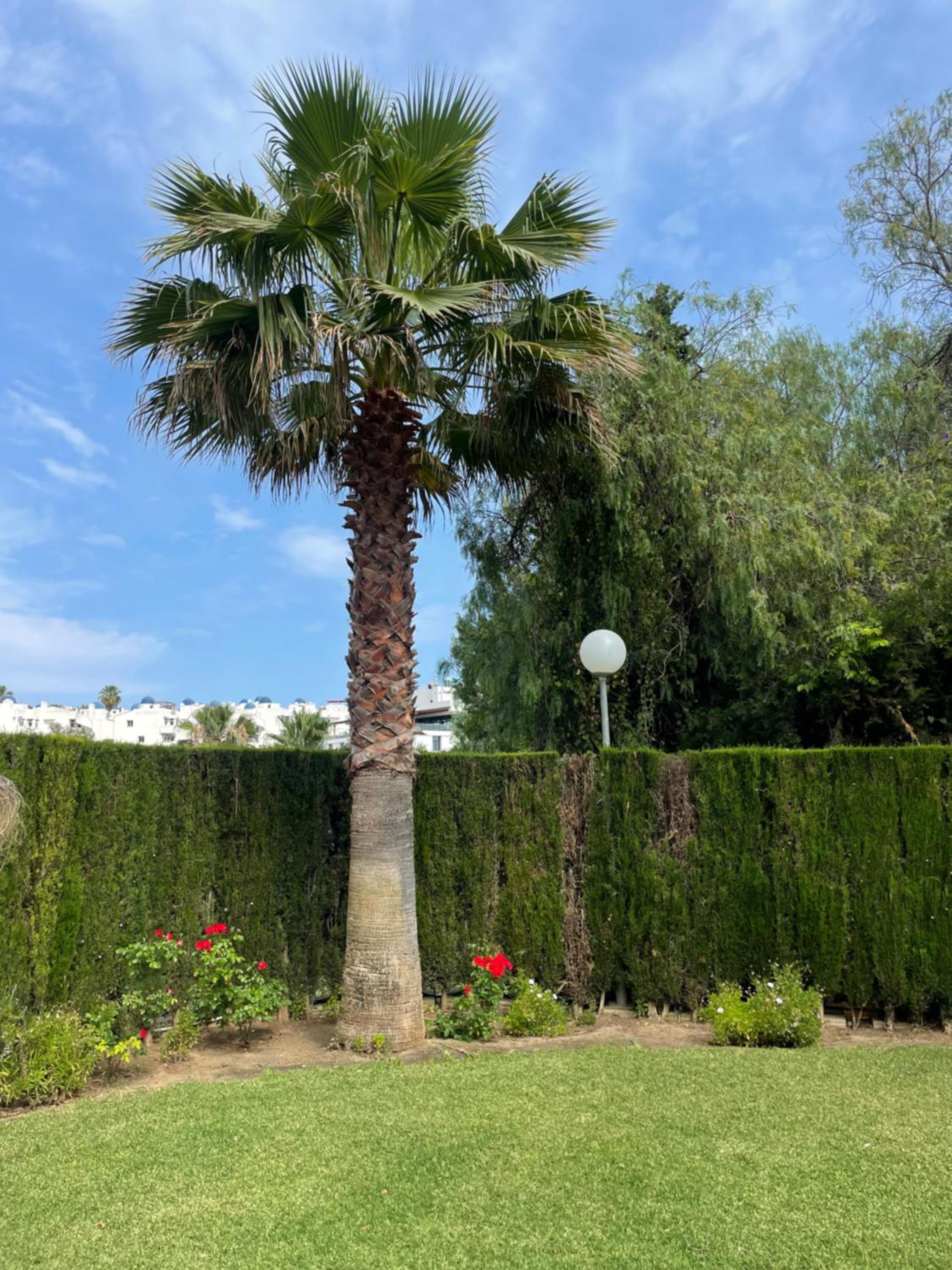 Jardines Apartment