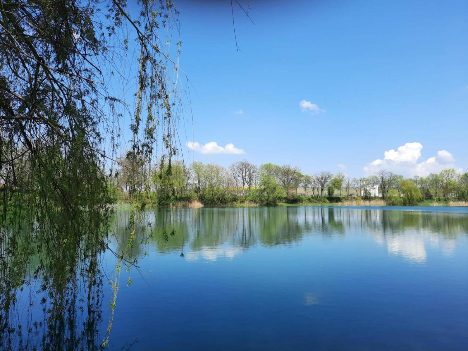 Apartman Aleksa