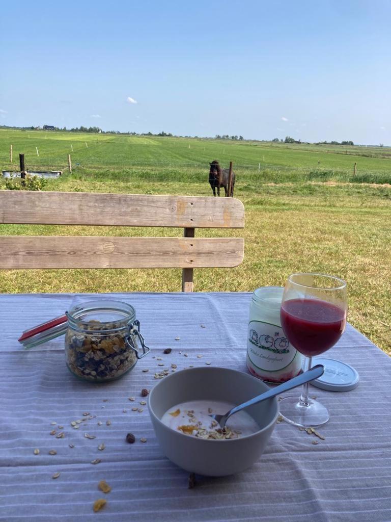 Frisian Hideaway with Style