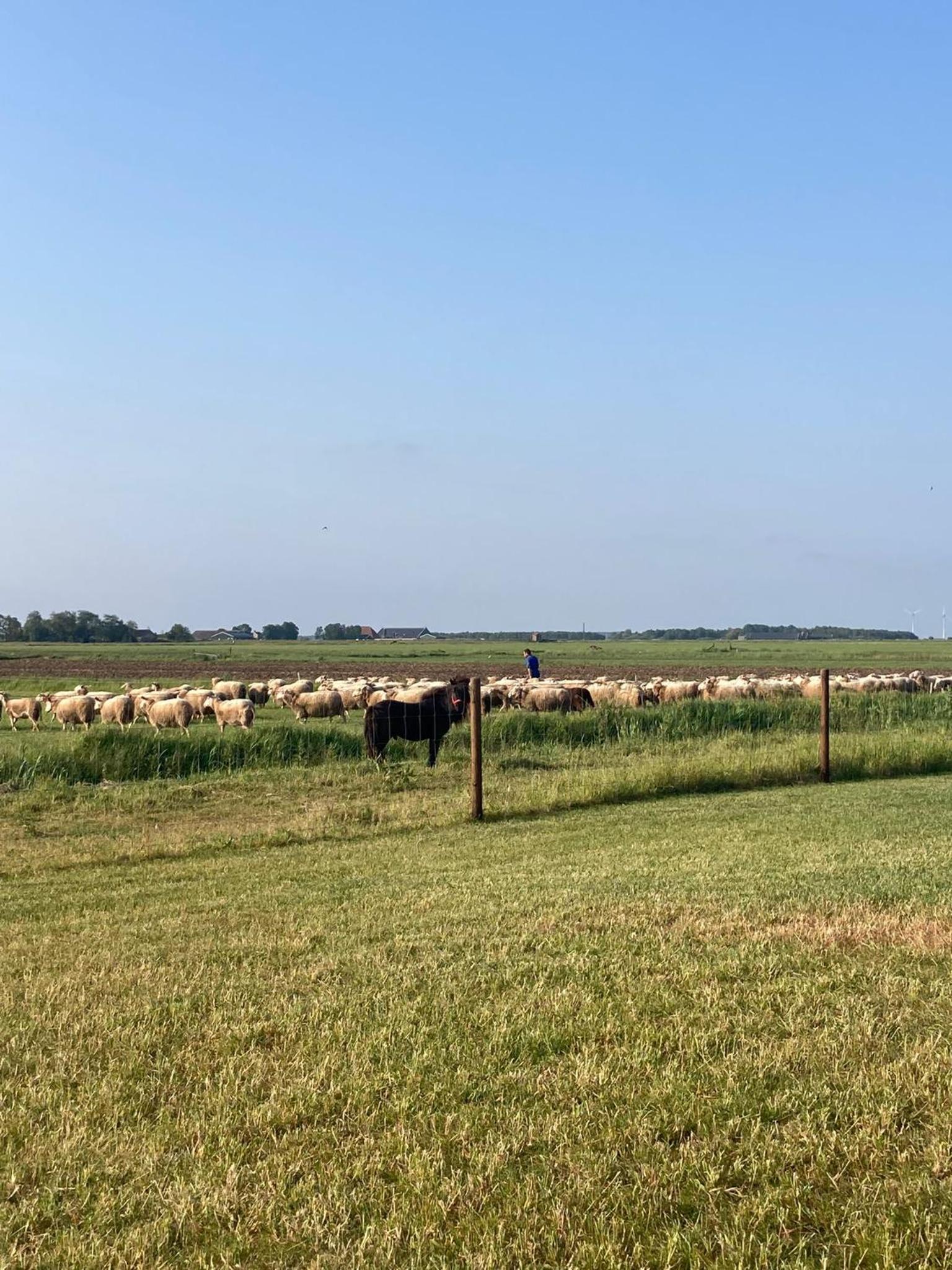 Holiday Home near IJsselmeer Lake