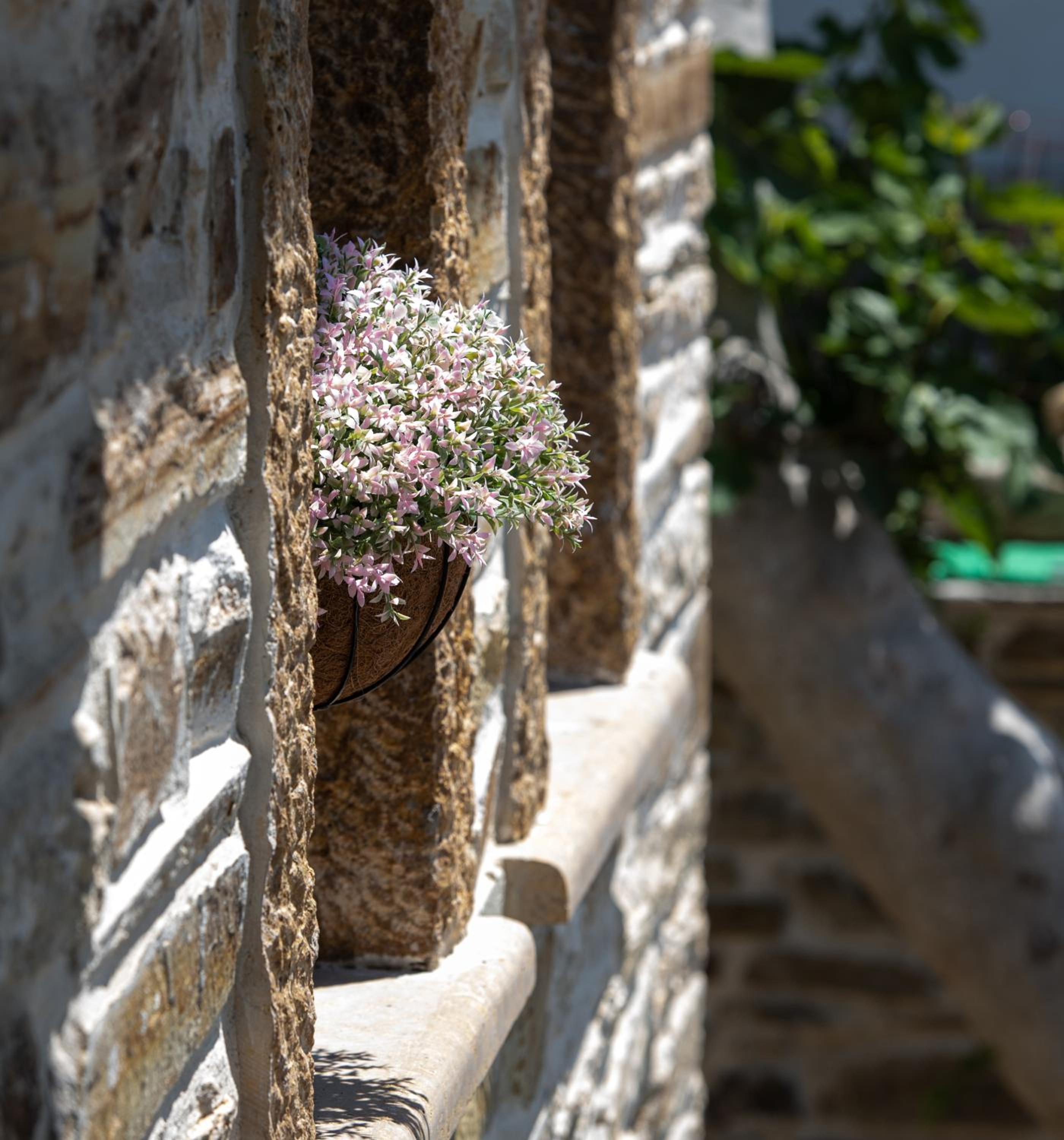 Homstone photo 2