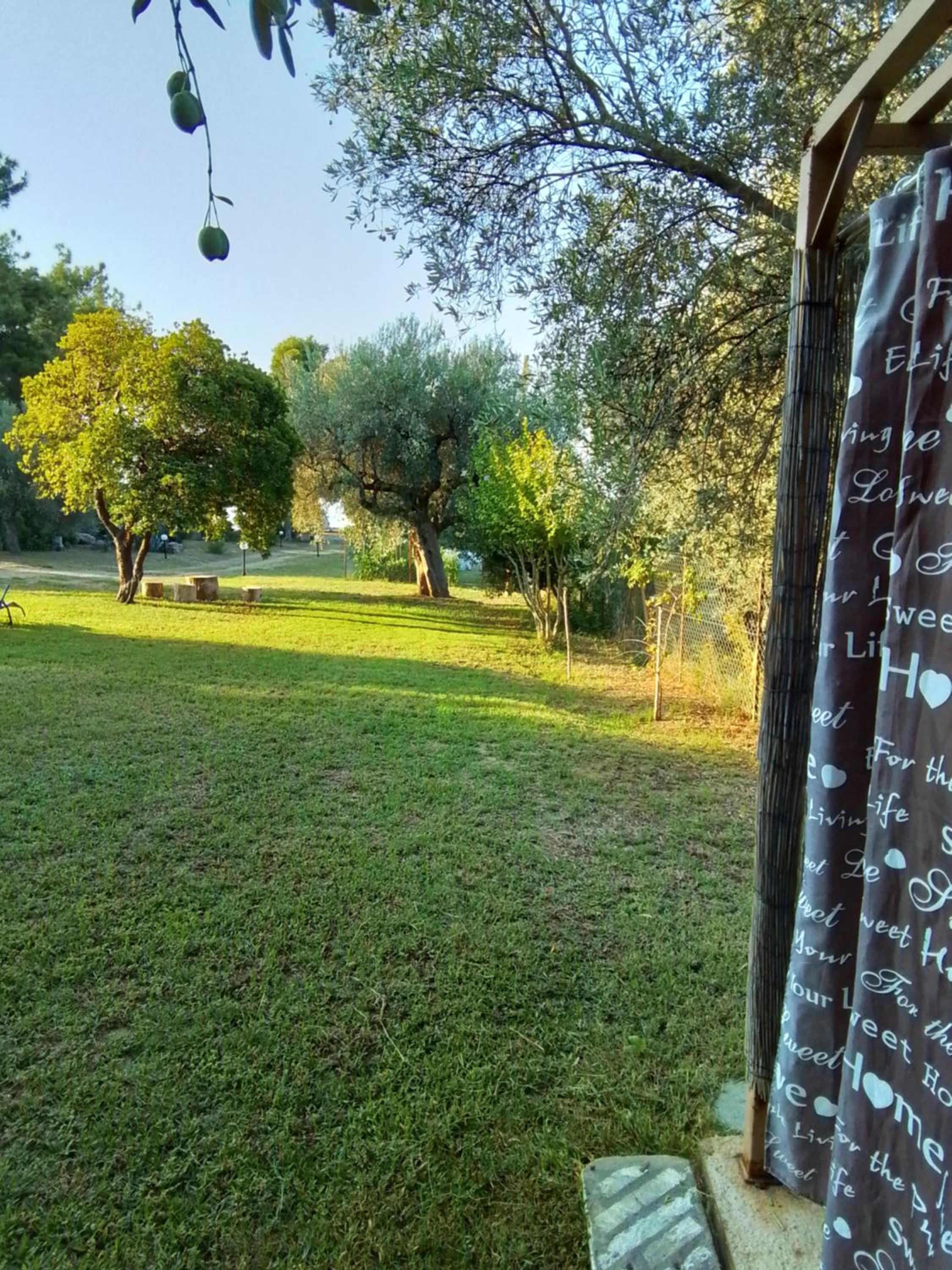 Photo 46