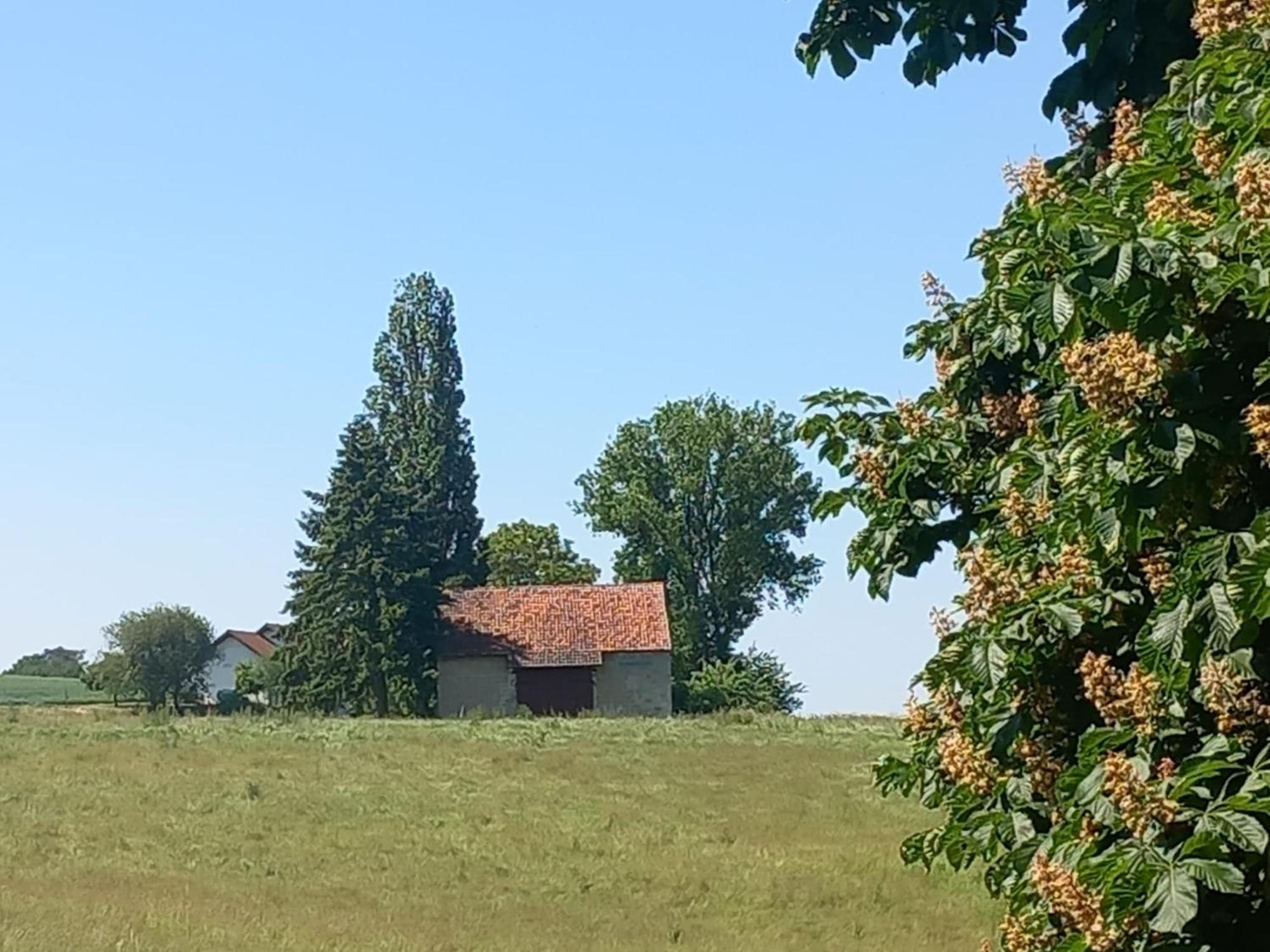 Ferienwohnung in Treysa