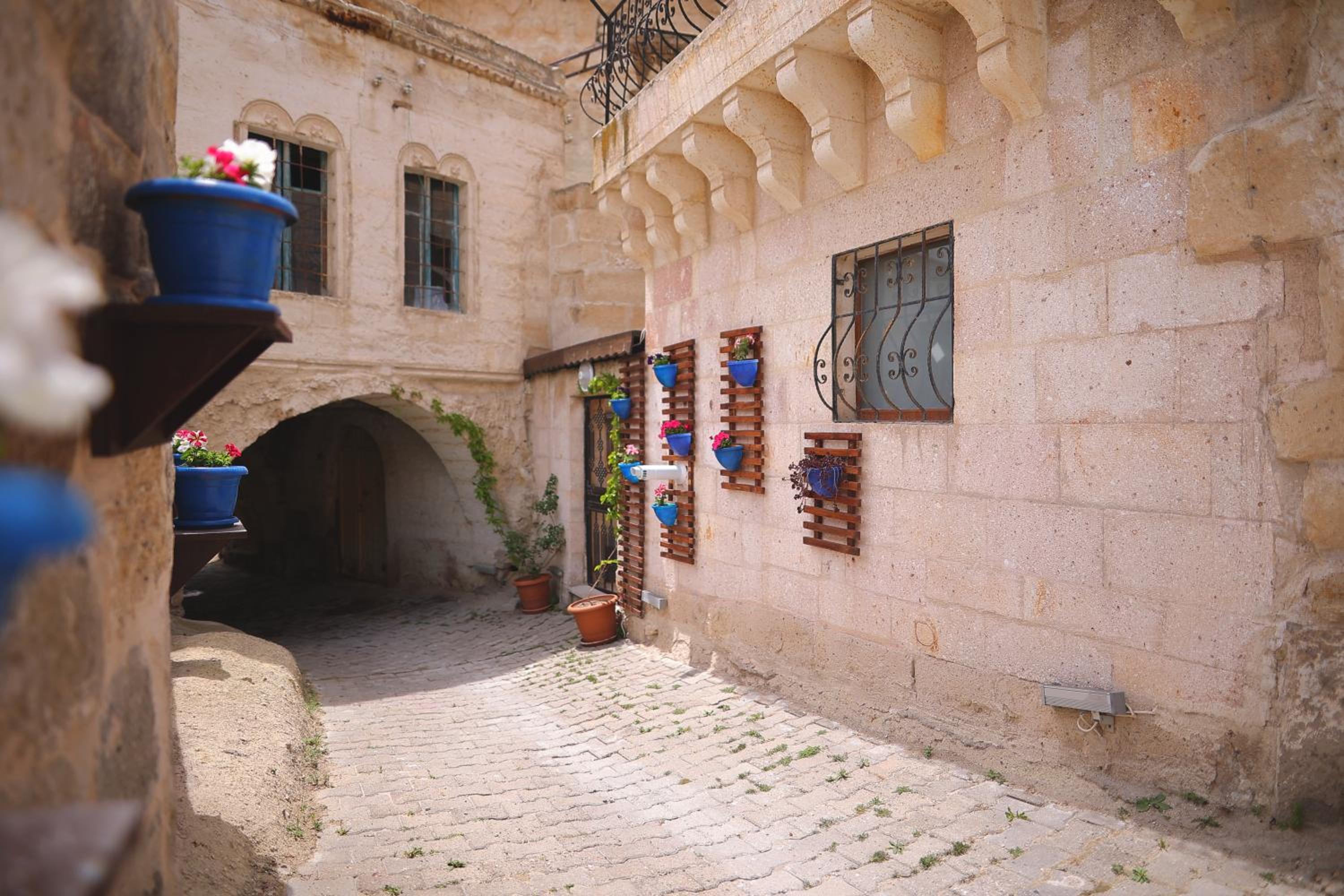 Photo 16