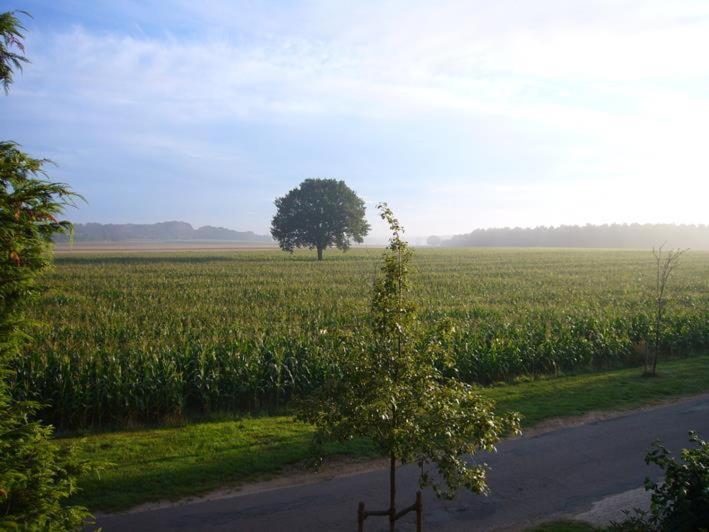 Ferienwohnung zum Regenbogen
