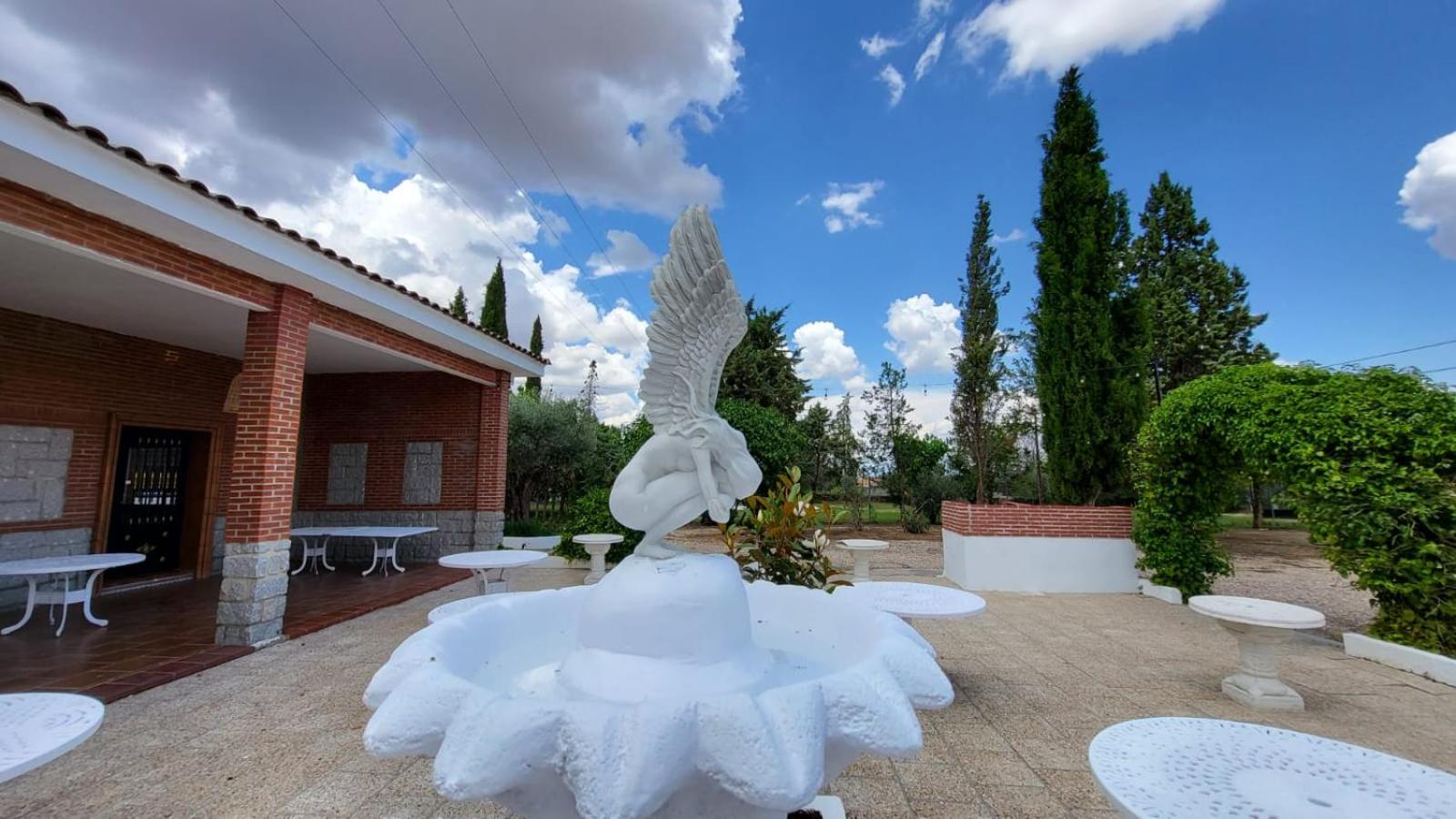 Photo 46