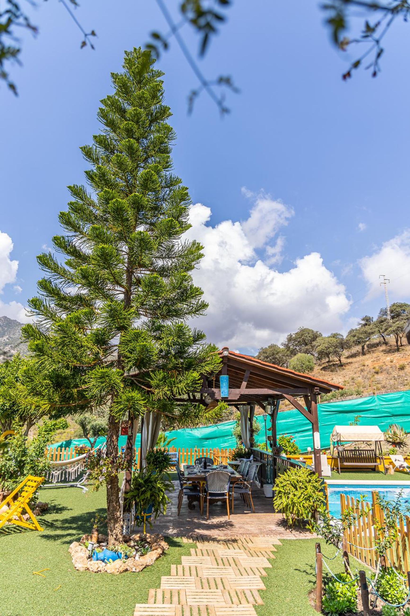 Finca el Albero view 5