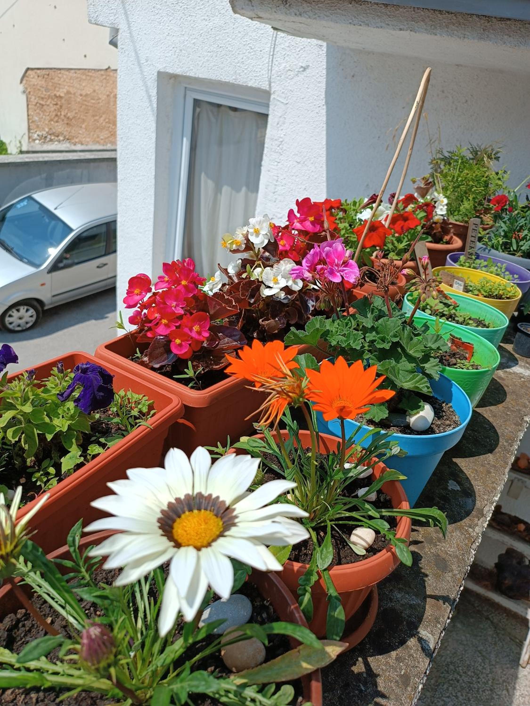 Apartman Ohren