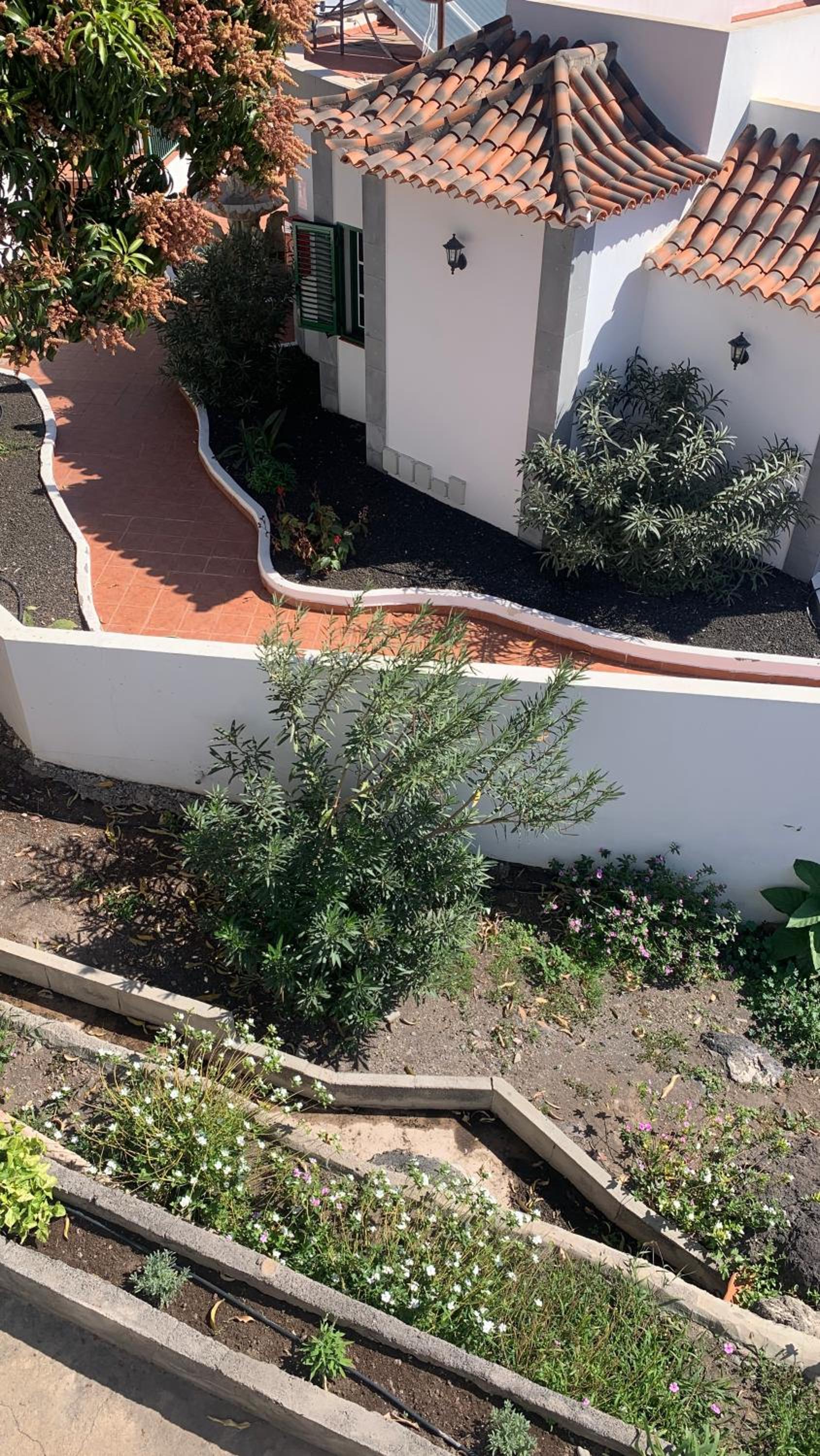 Apartamentos Villa Aurora