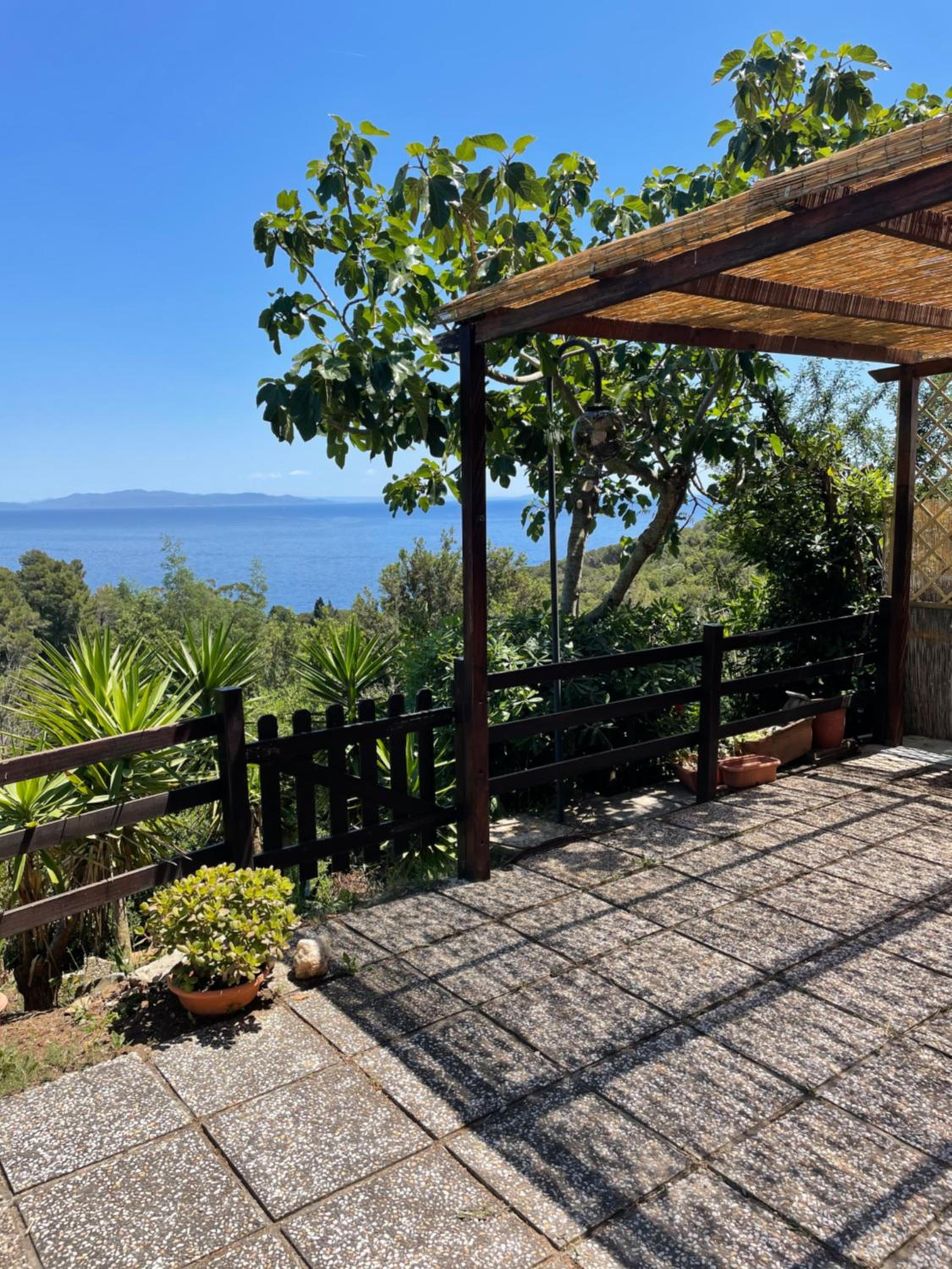Trilocale Vista Mare Isola d'Elba photo 4