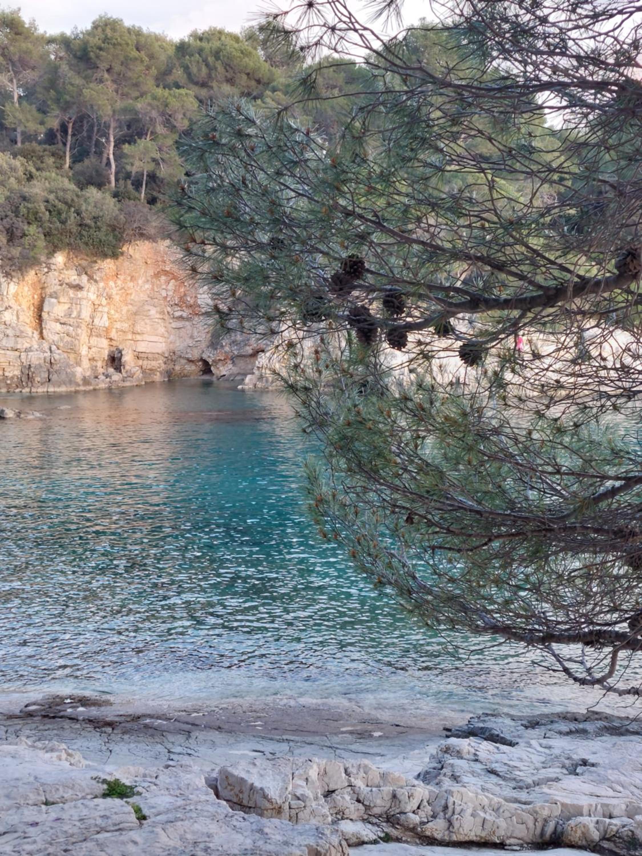 PulaBella
