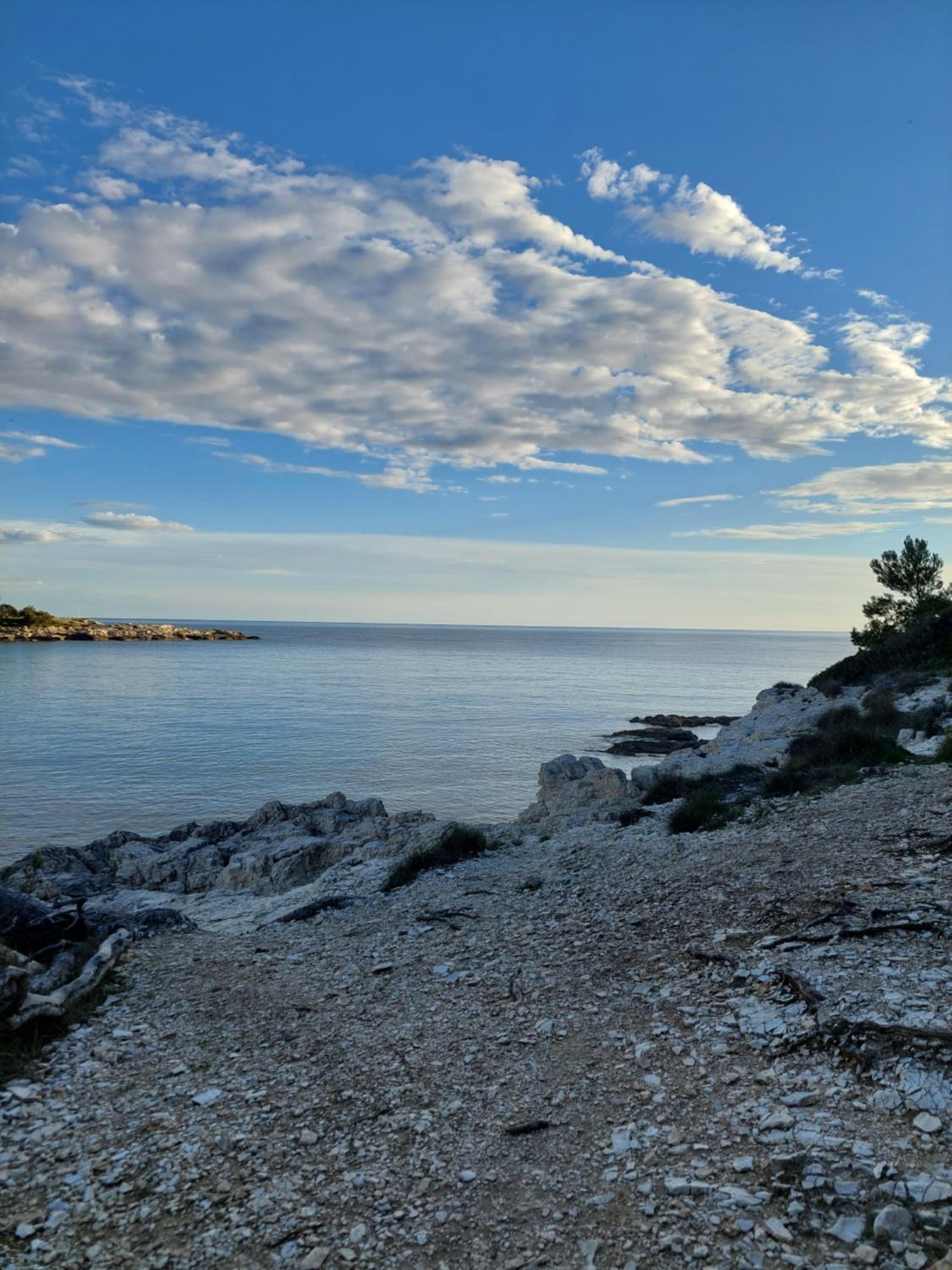 PulaBella
